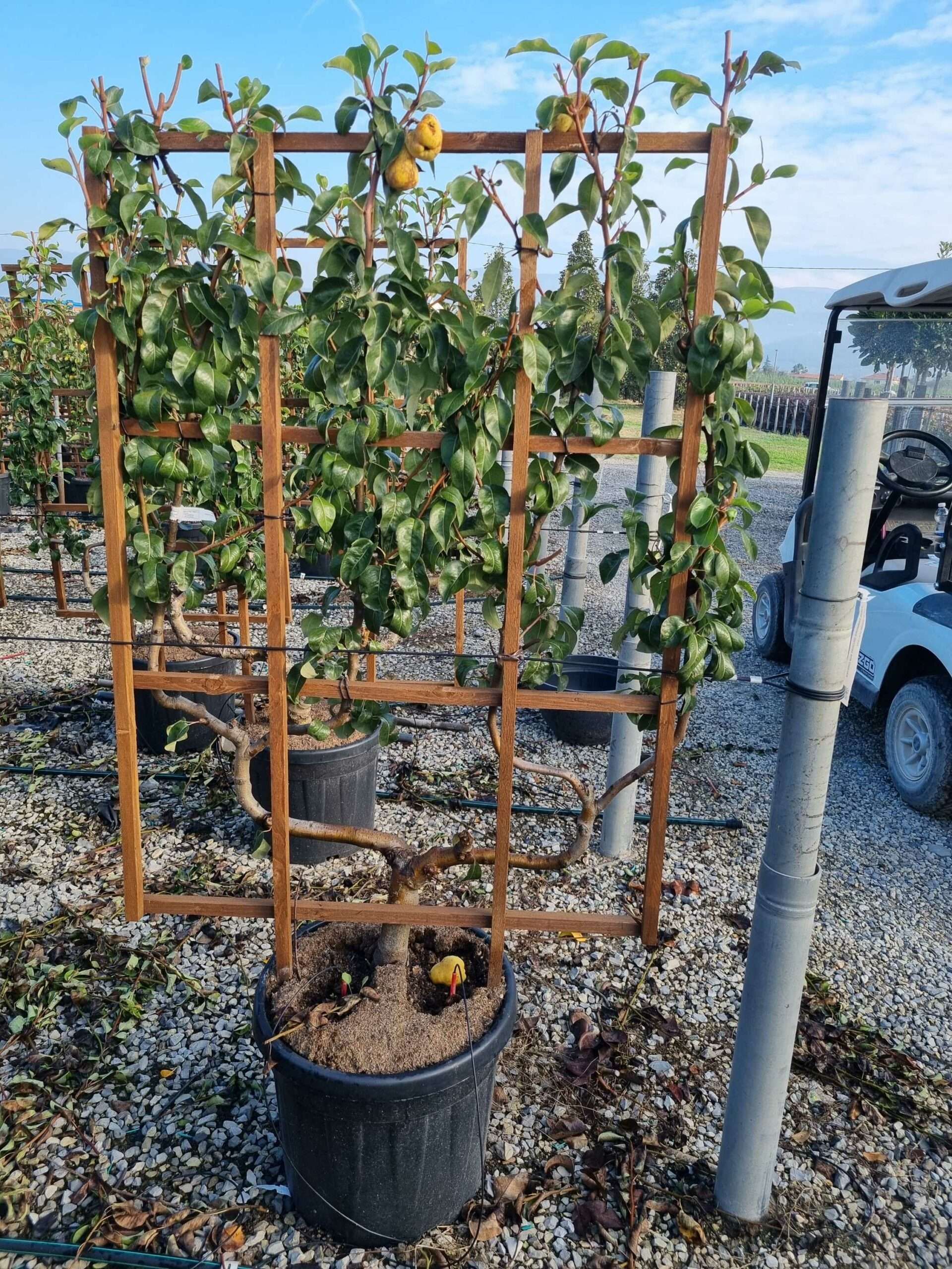 1665214006 scaled c43454eb