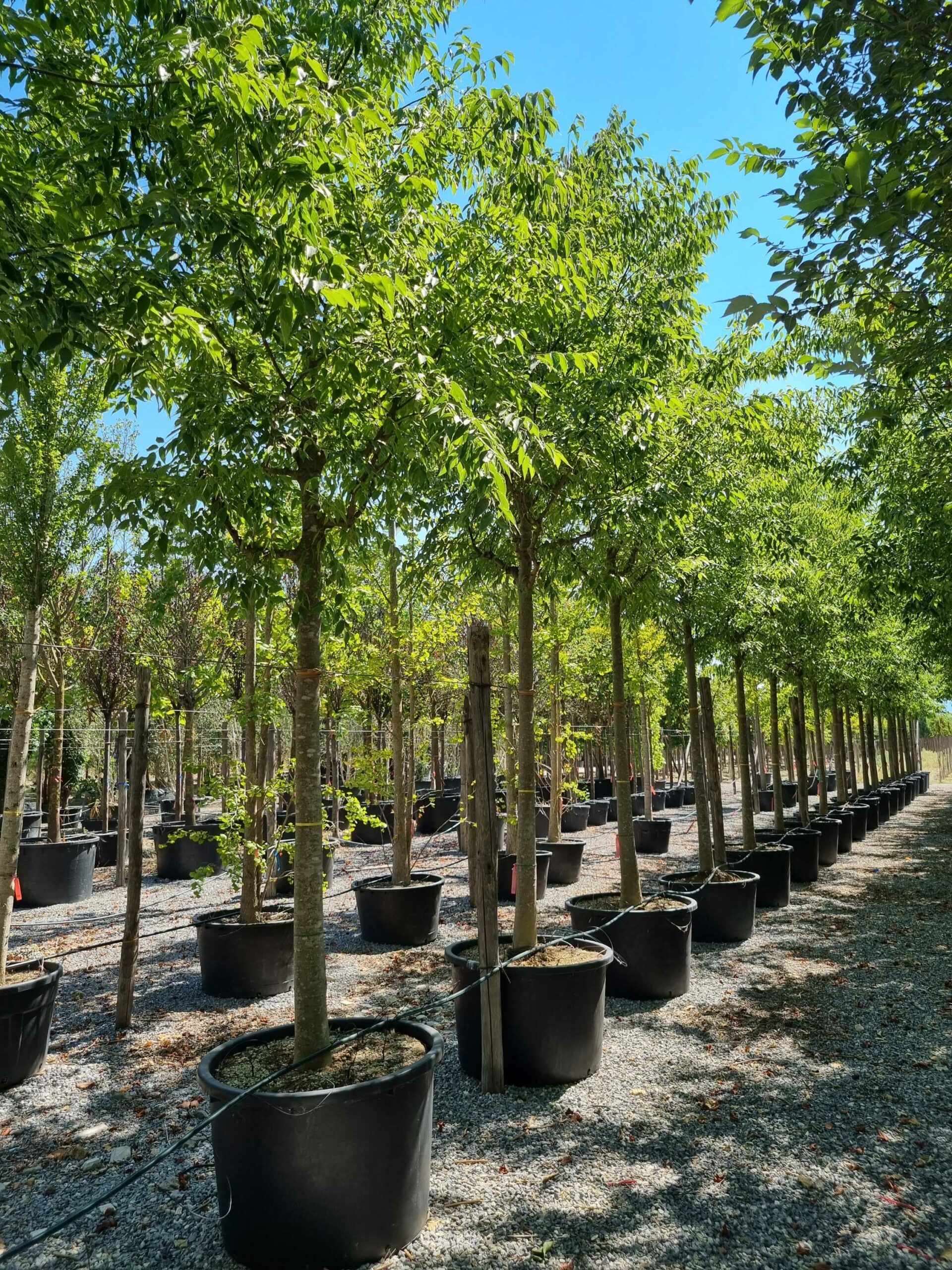 1692709197 scaled c44ff213