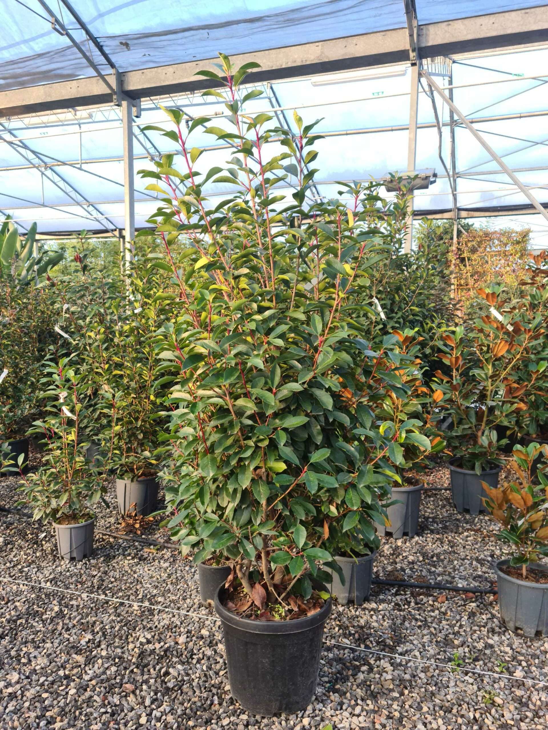 1639470425 scaled c5d185dd