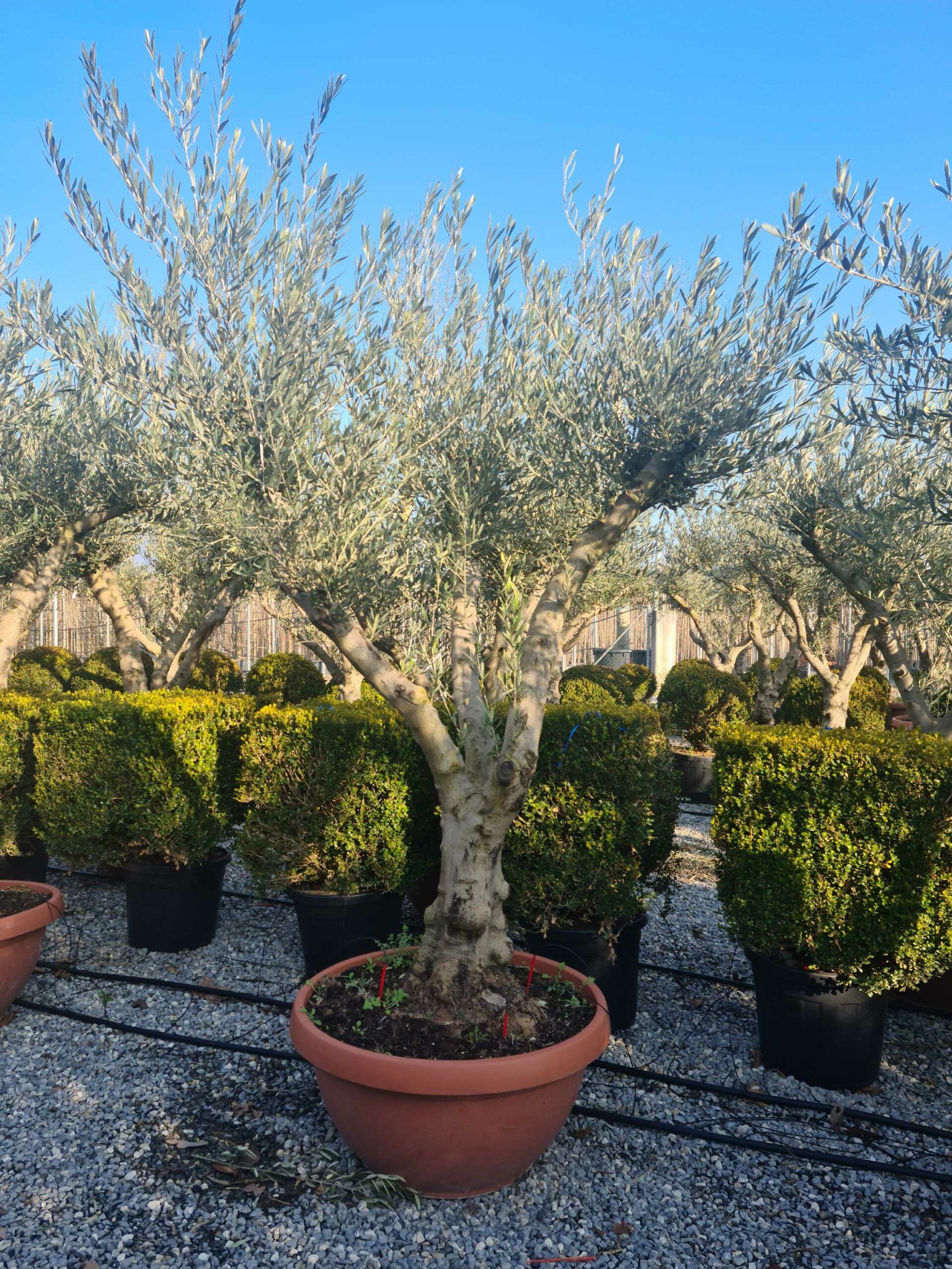 1642773362 scaled c5526e8f