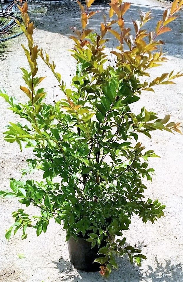 1654598045 aadfadf 1 c580b516