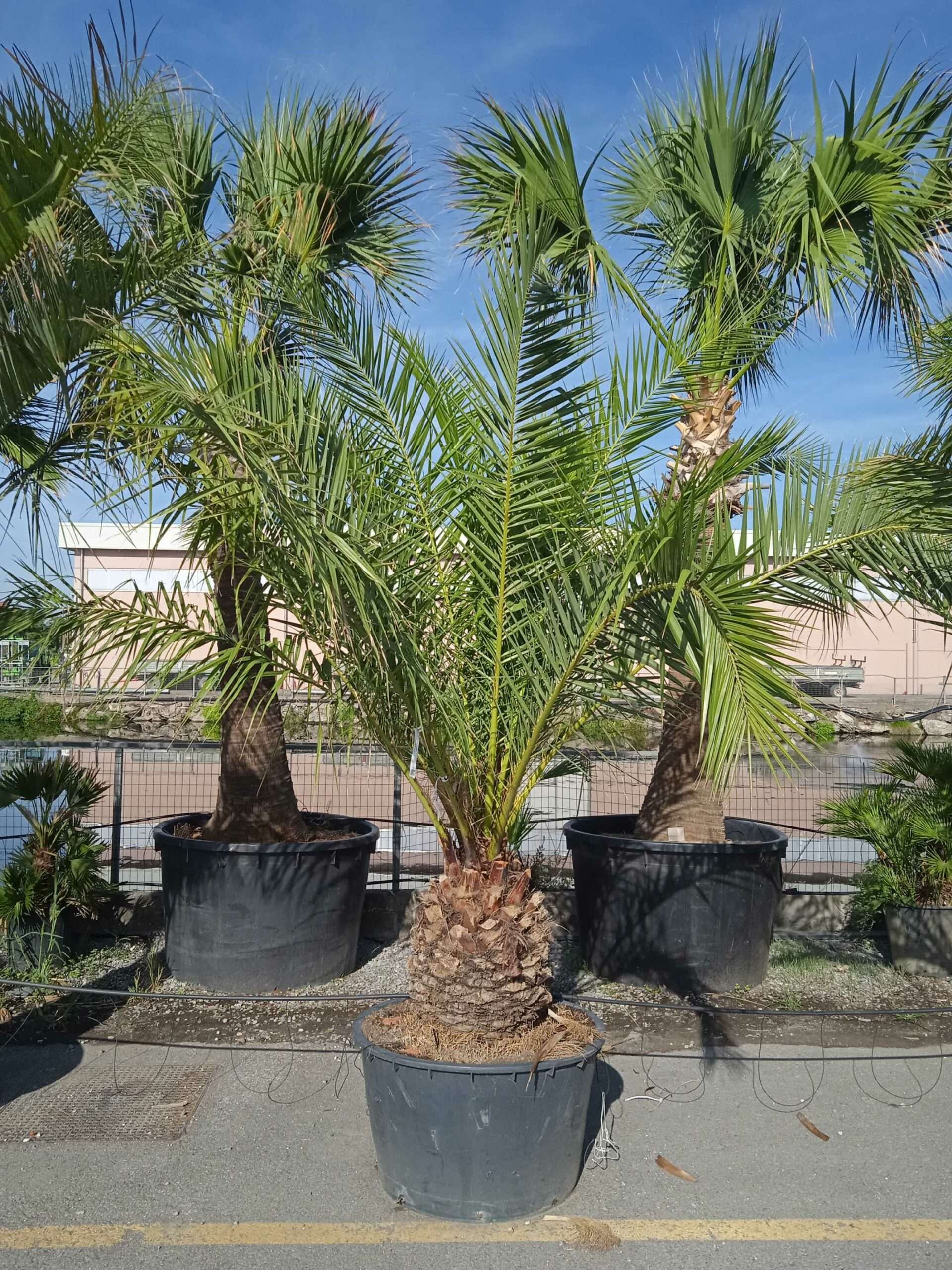 1662363548 scaled c51853d7