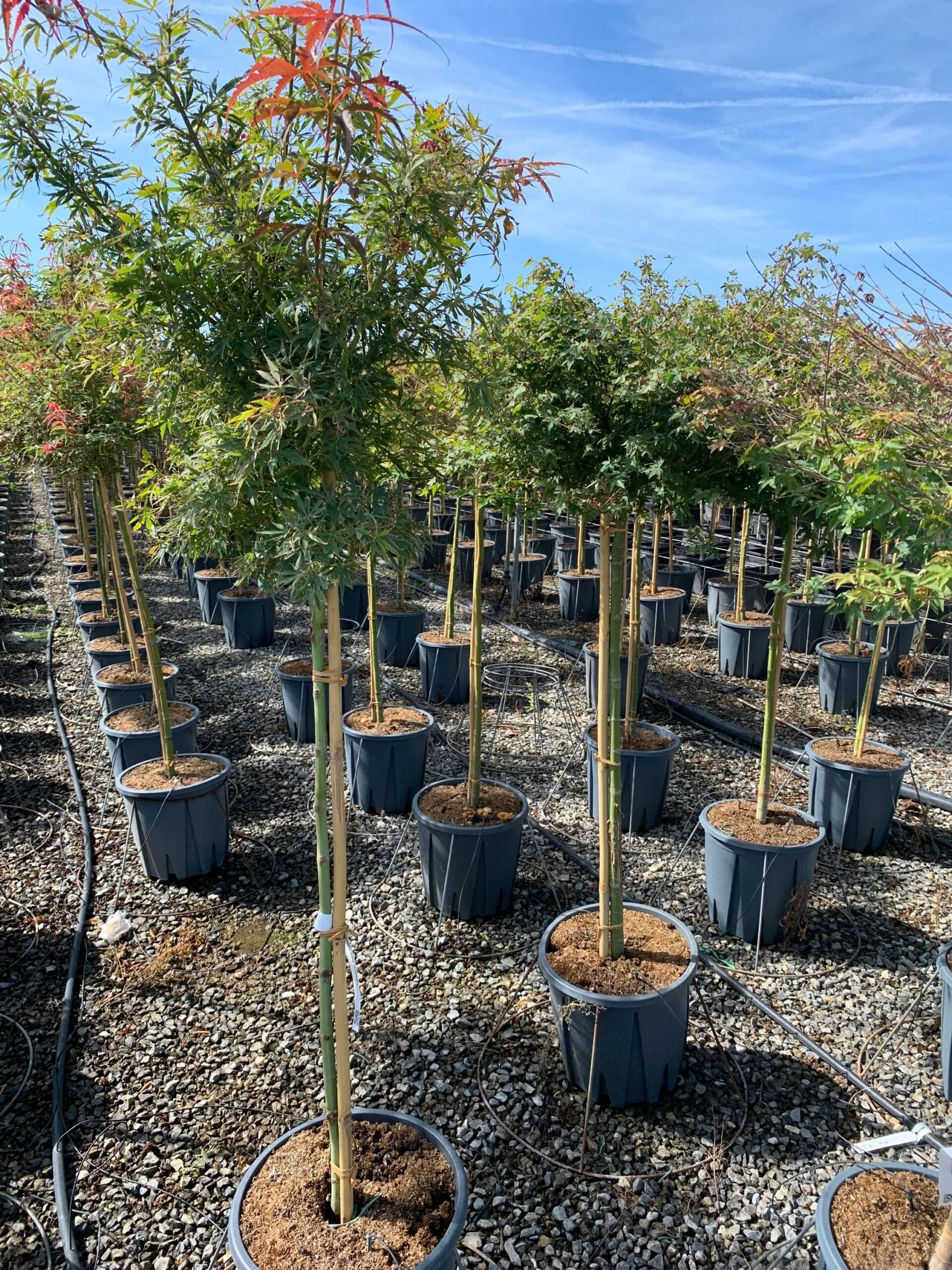 1662368102 scaled c507db5d