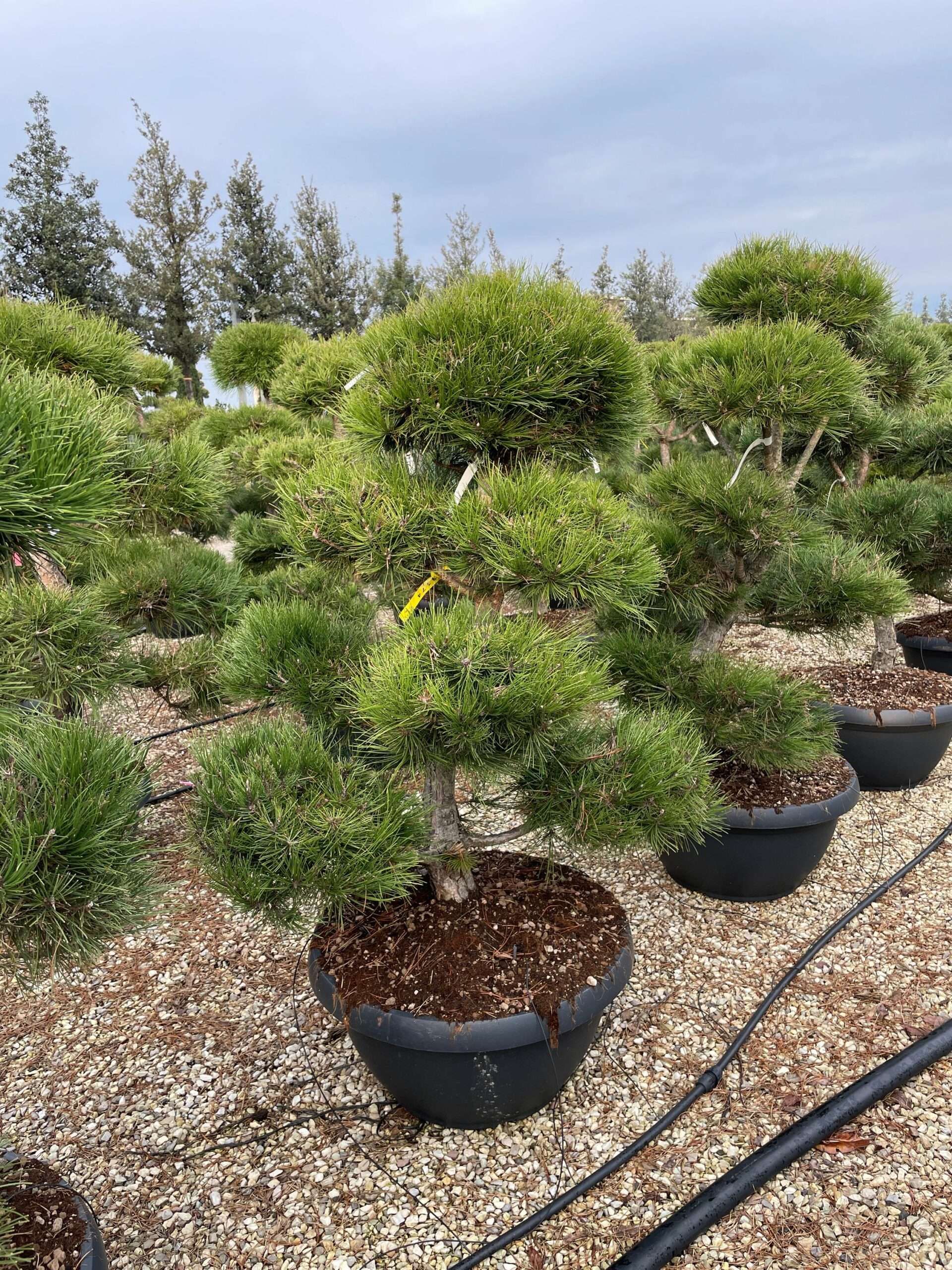 1672737142 1 scaled c5367001