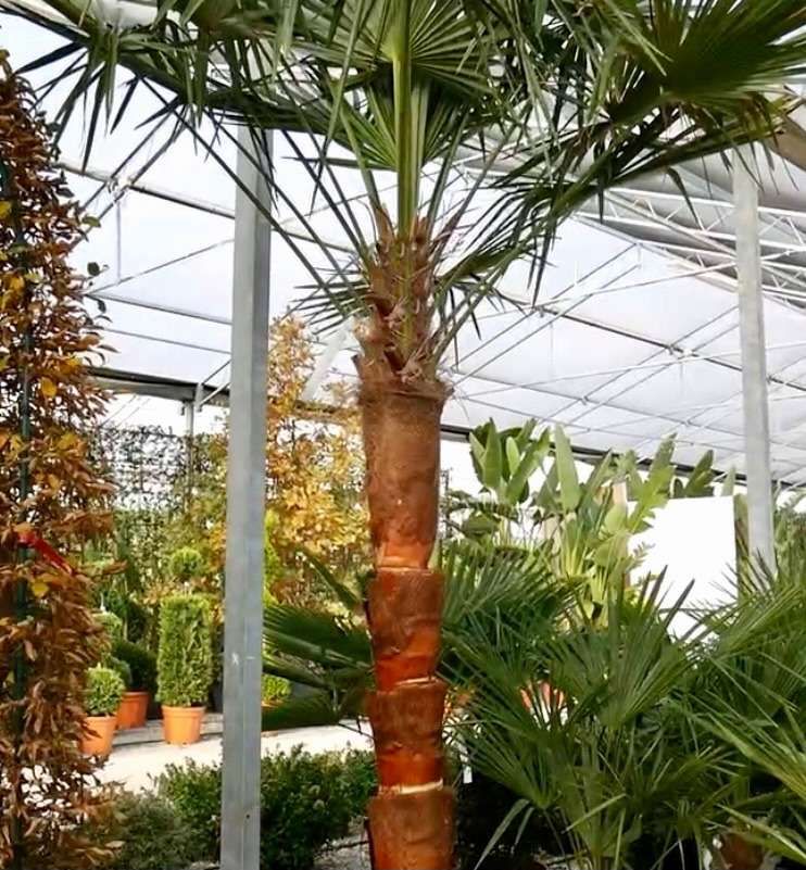 1616581479 0179006c0c6ca9d106fa2e5f8b16dc3457dc383334 c6461030