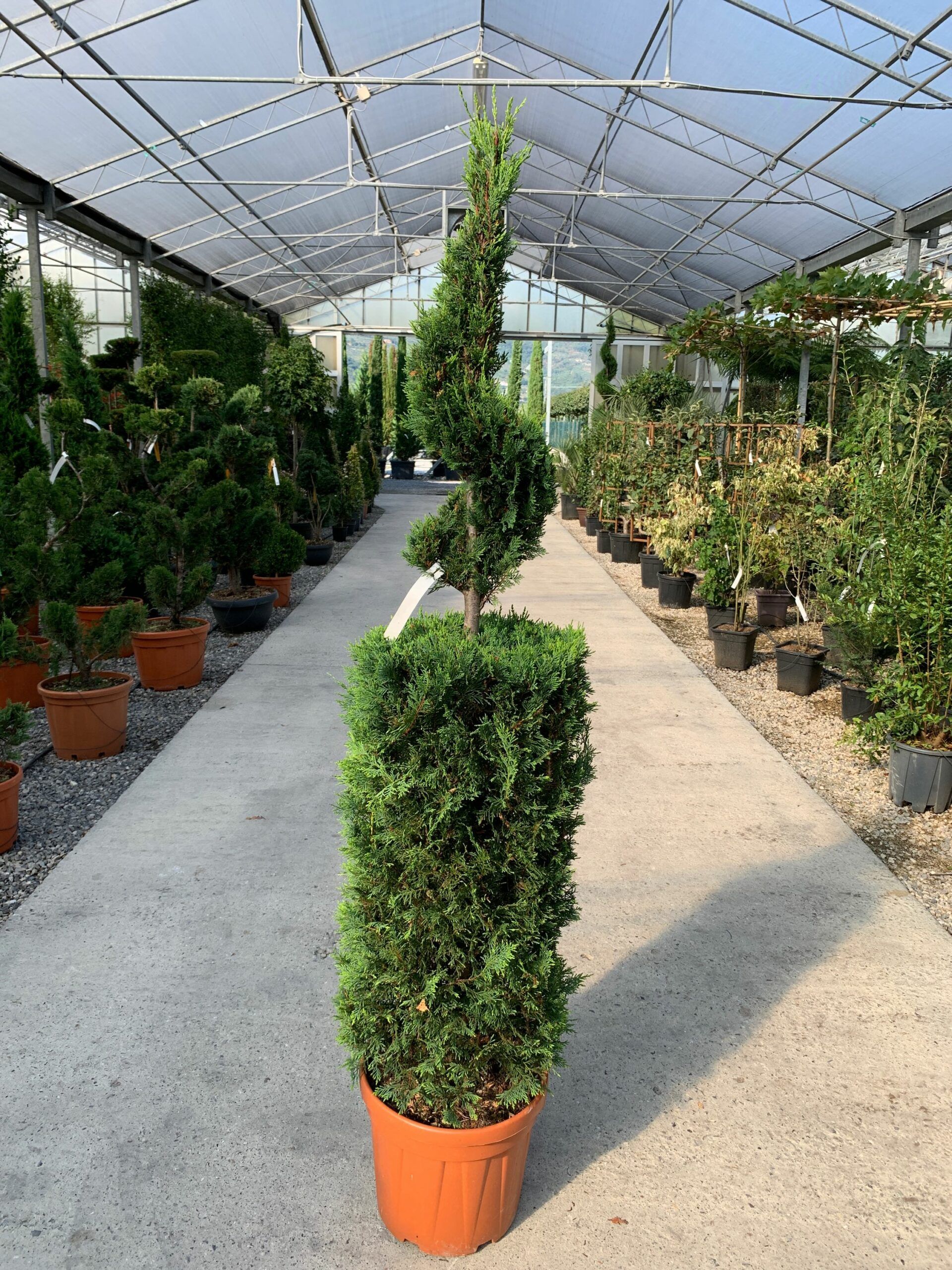 1632836876 scaled c64c24ad