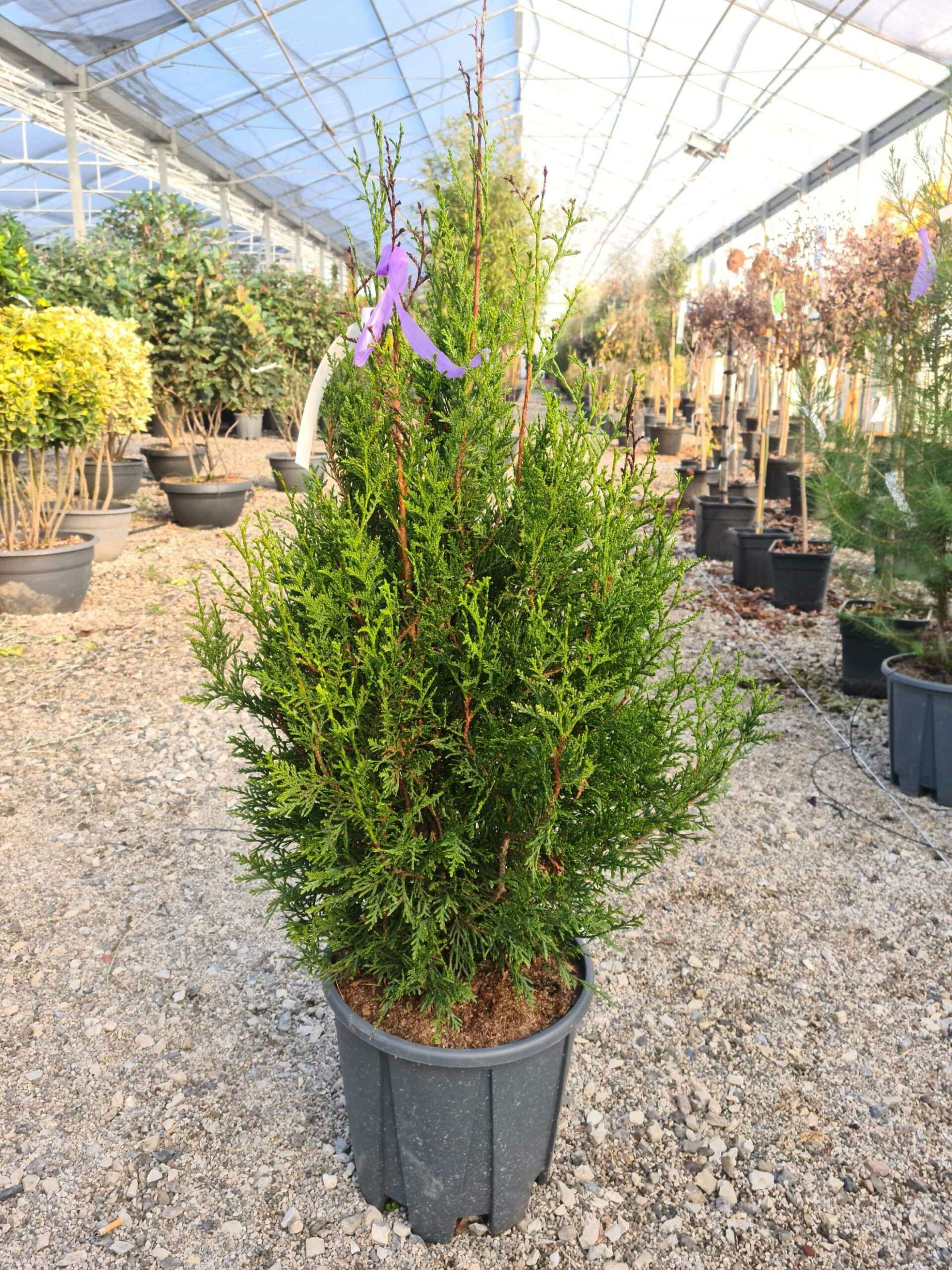 1639473129 scaled c6947af9