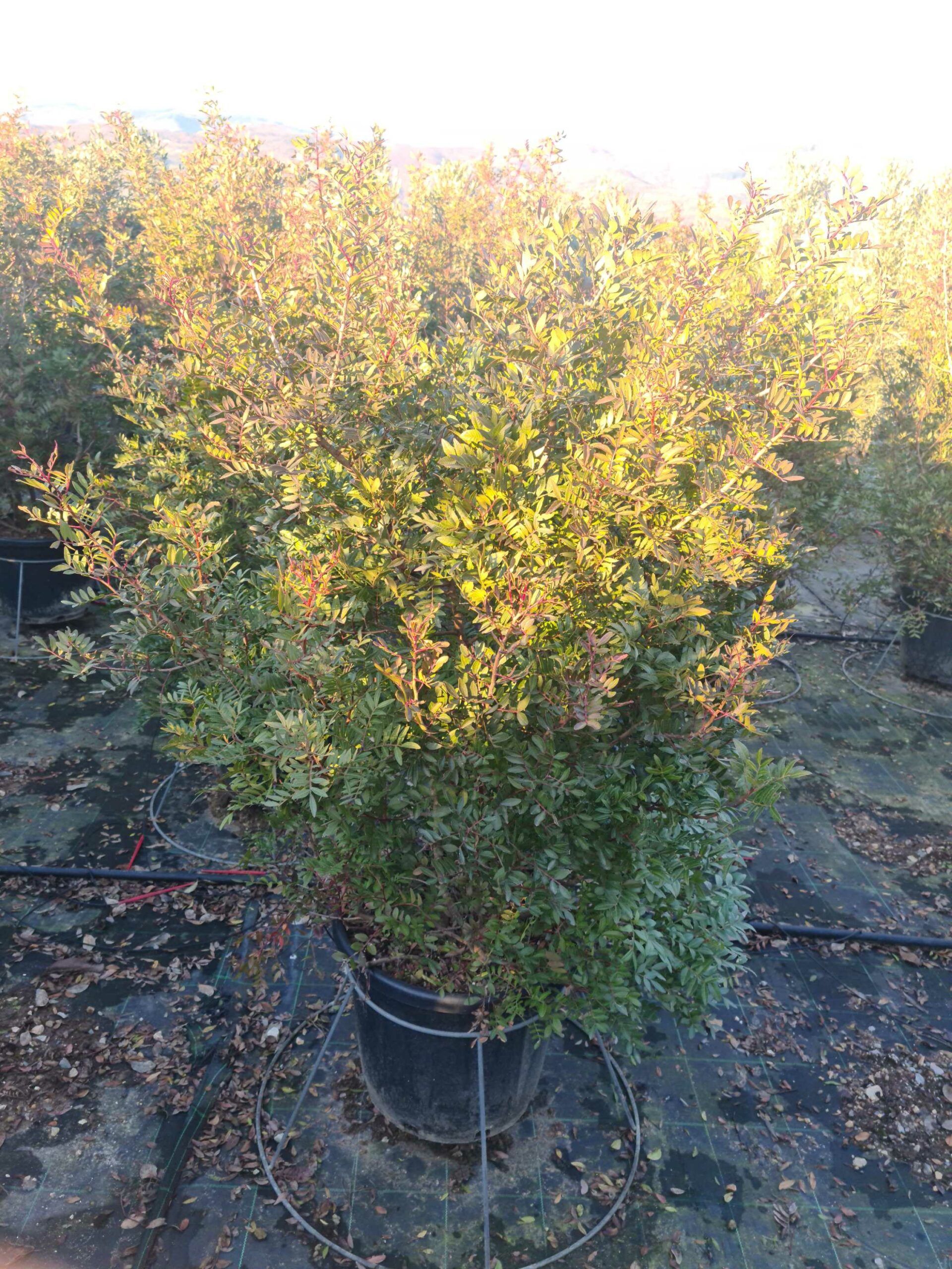 1639665368 scaled c6076b6a