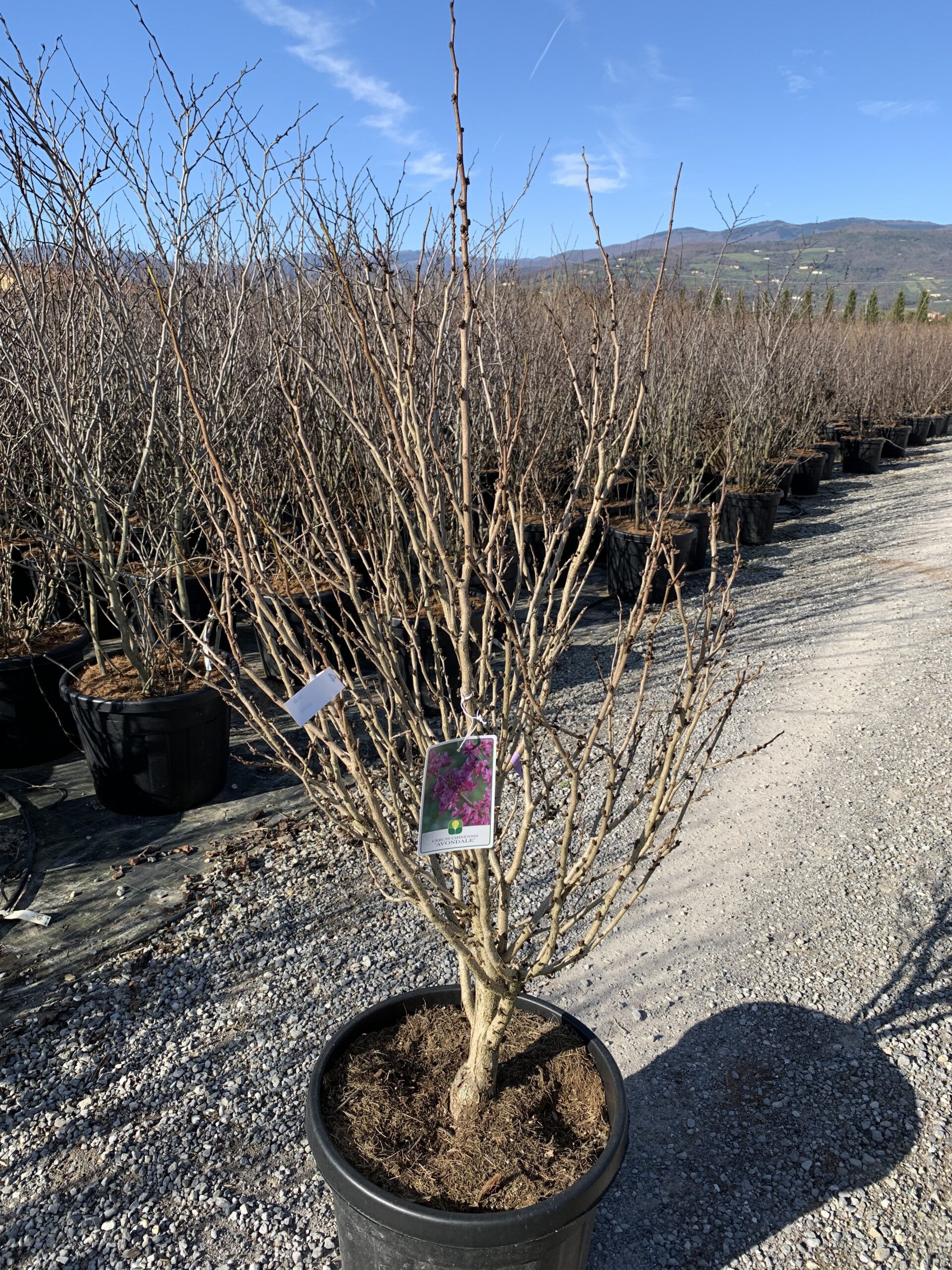 1639823670 scaled c6083045