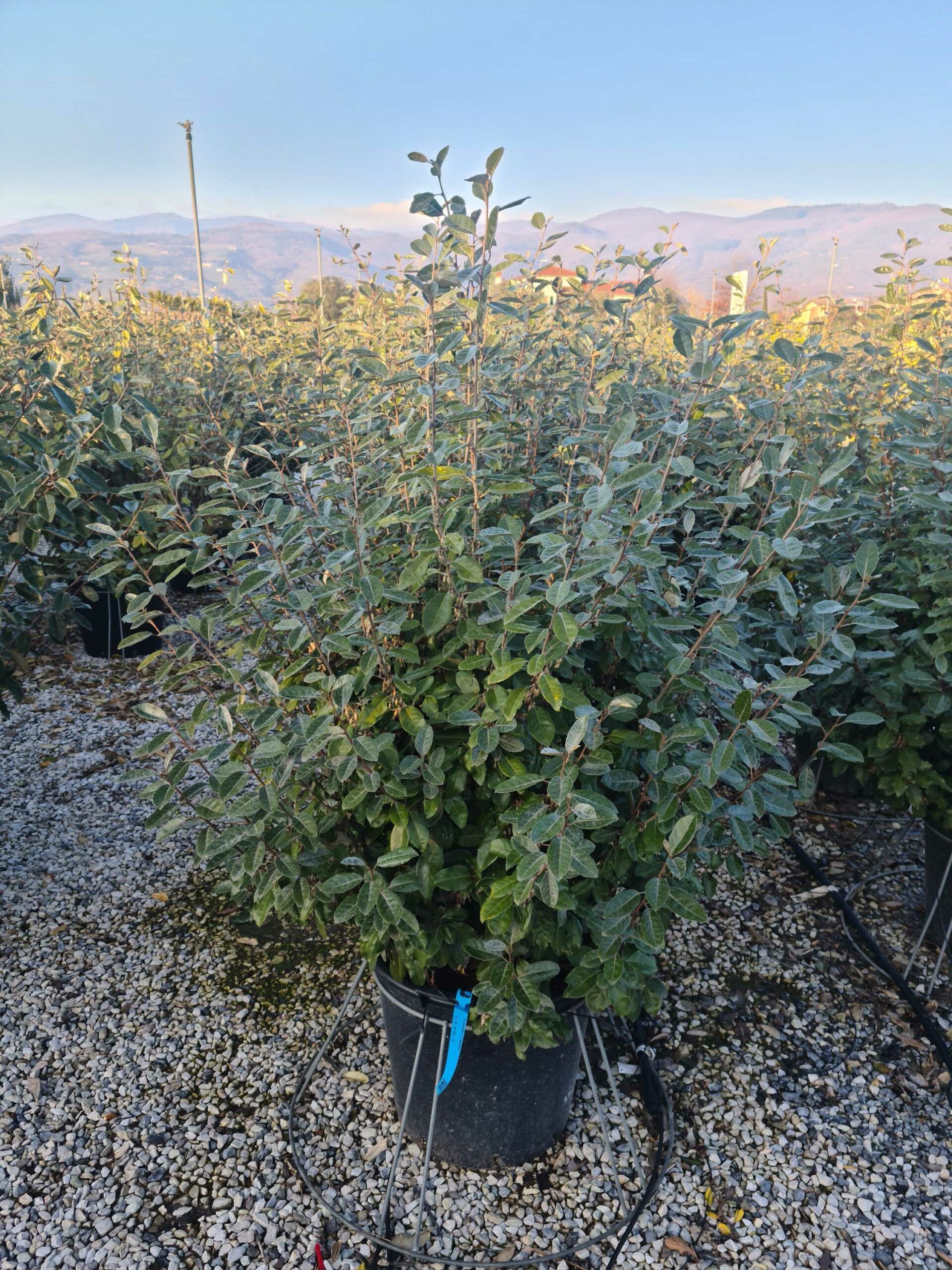 1642778262 scaled c6f9346c