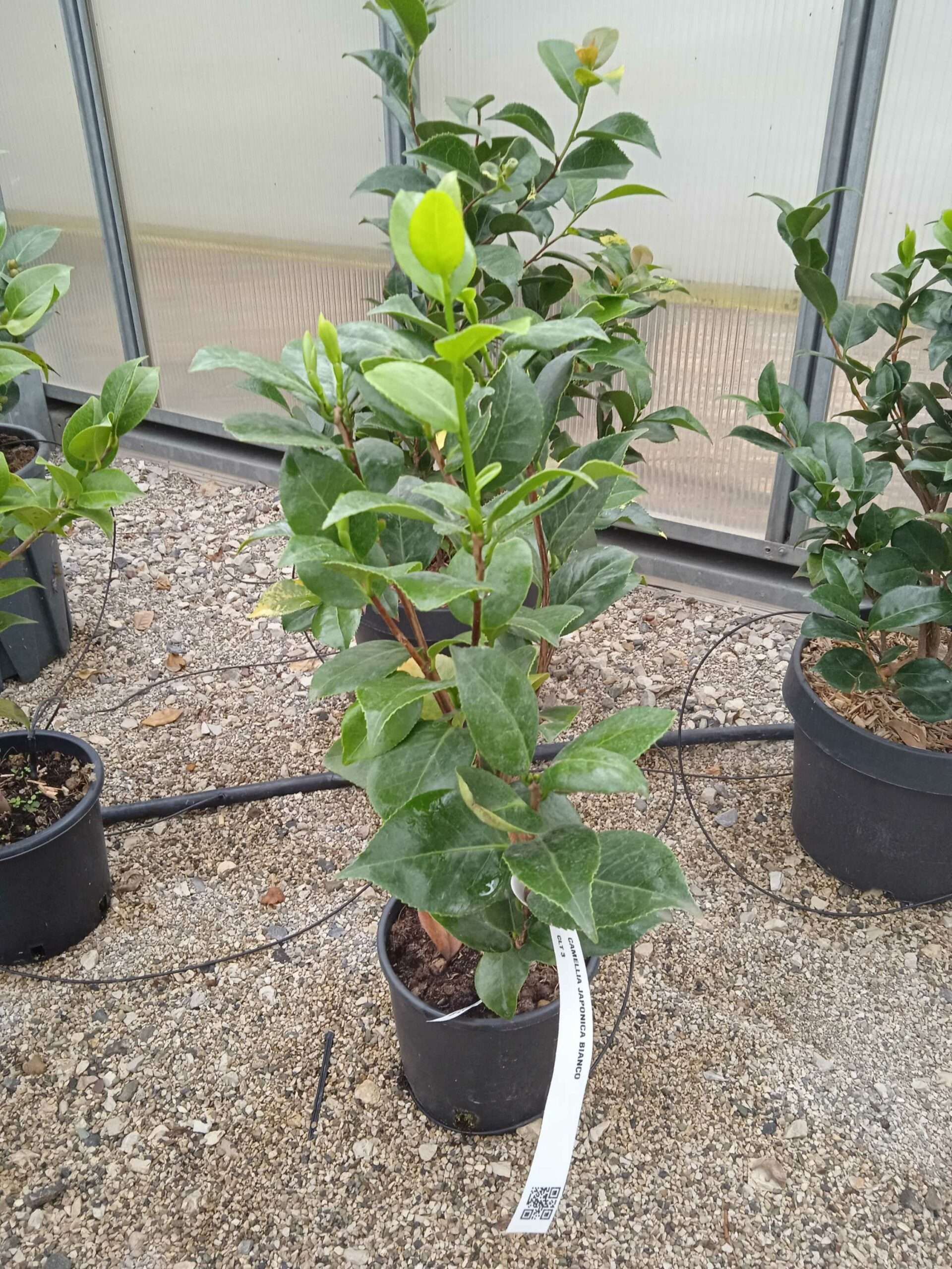 1662188396 scaled c6a7c55f