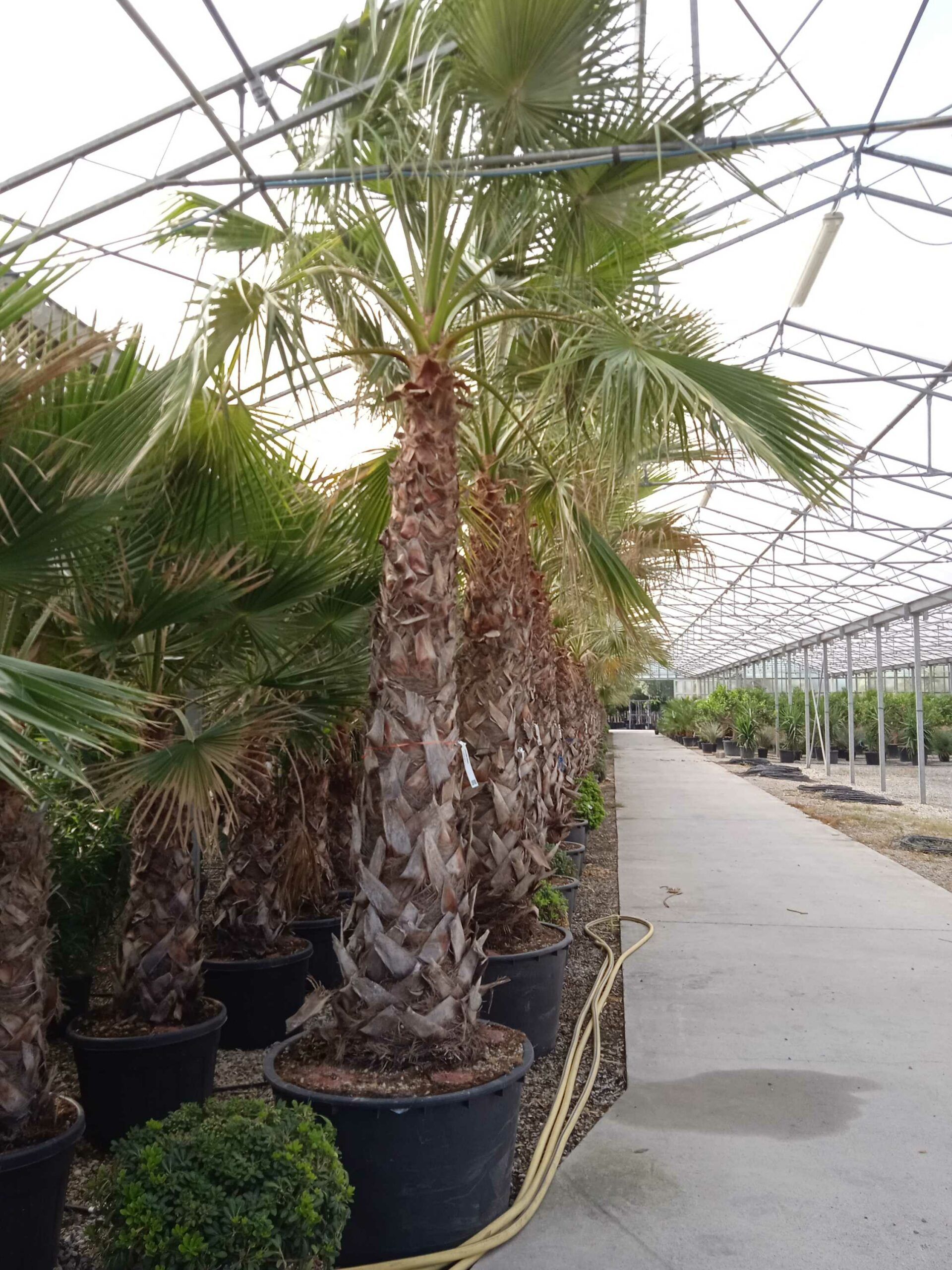 1662366654 scaled c62e5c3a