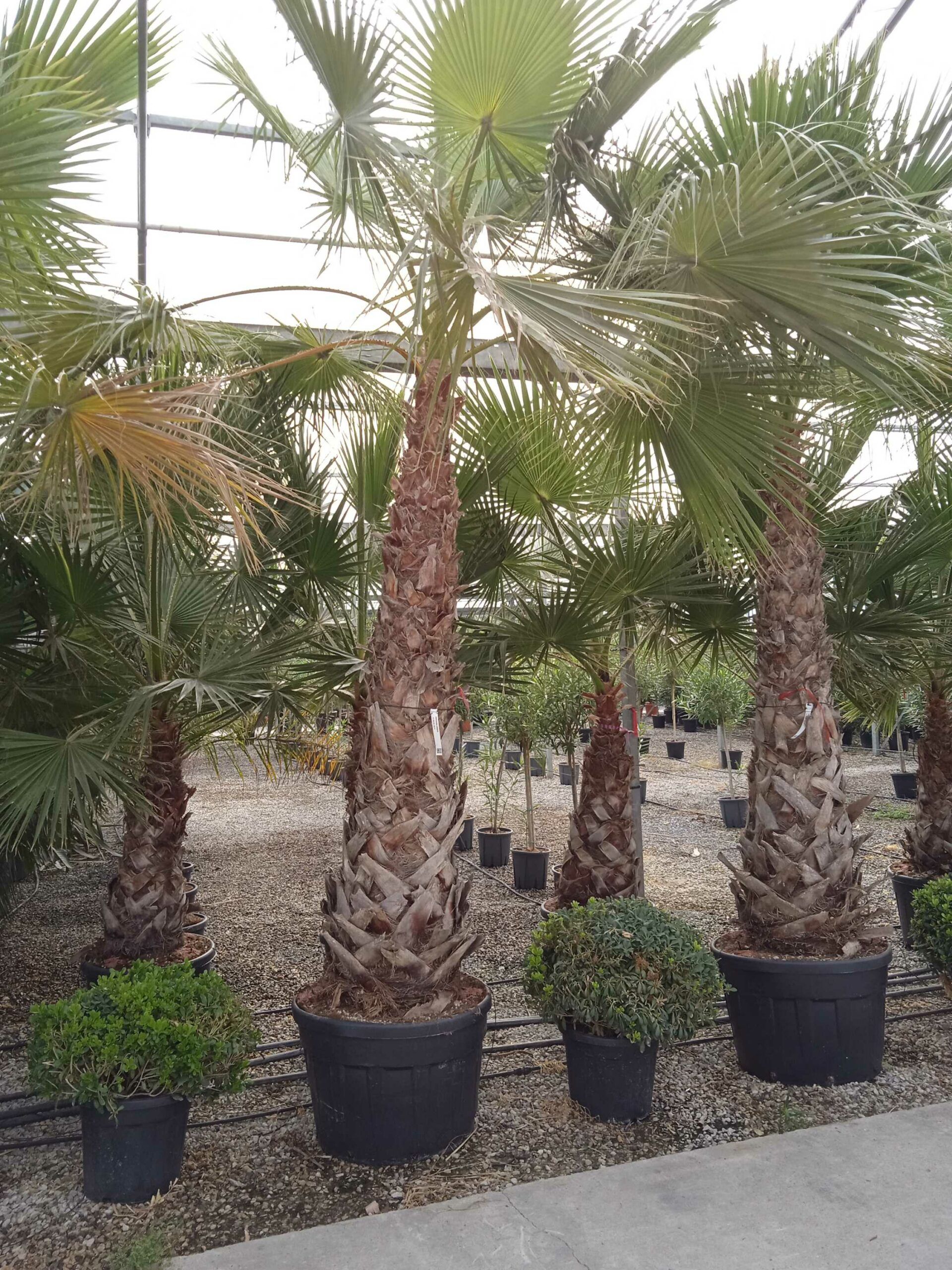 1662366785 scaled c6f3f26e