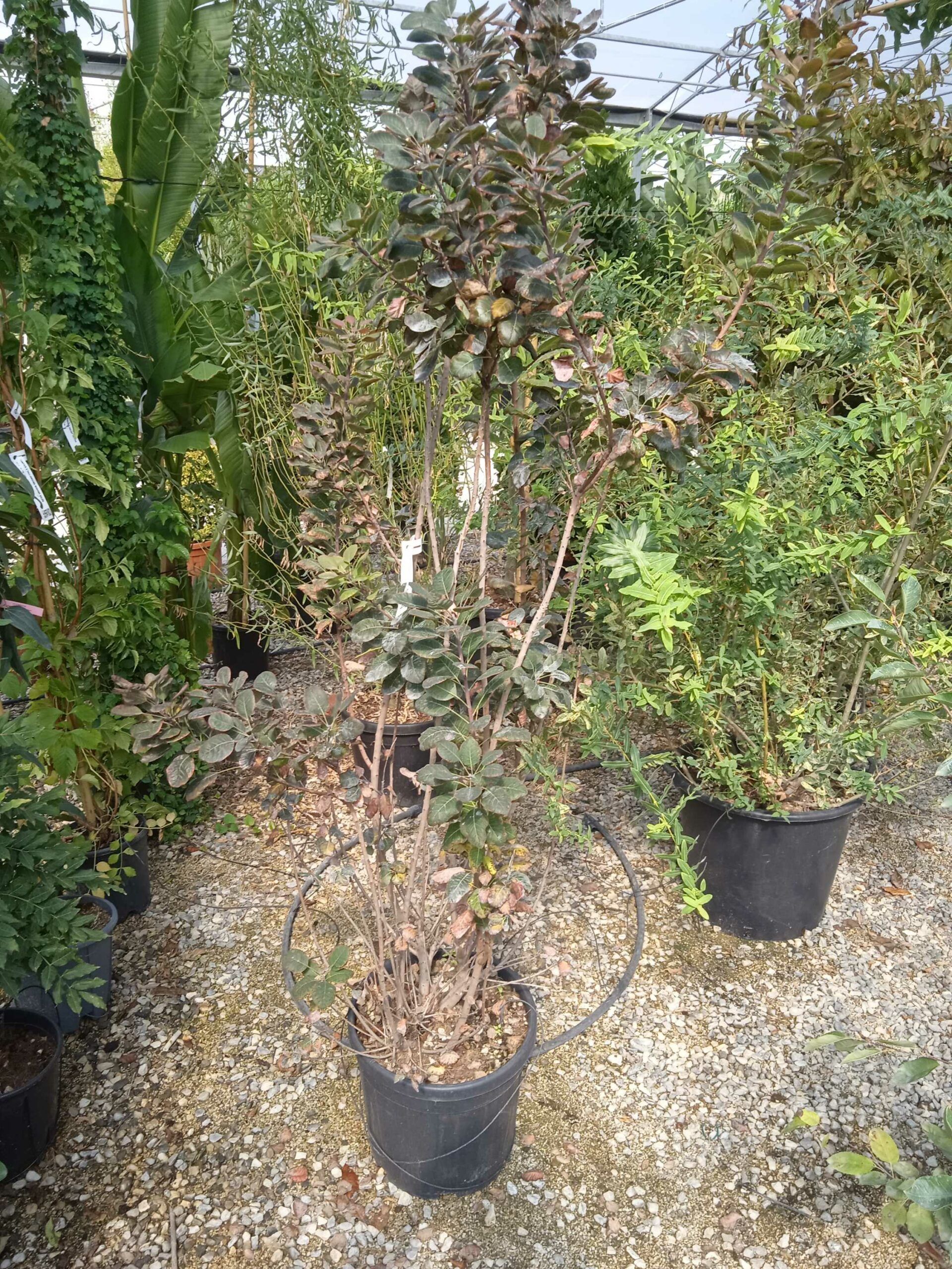 1662368563 scaled c6d91ebb