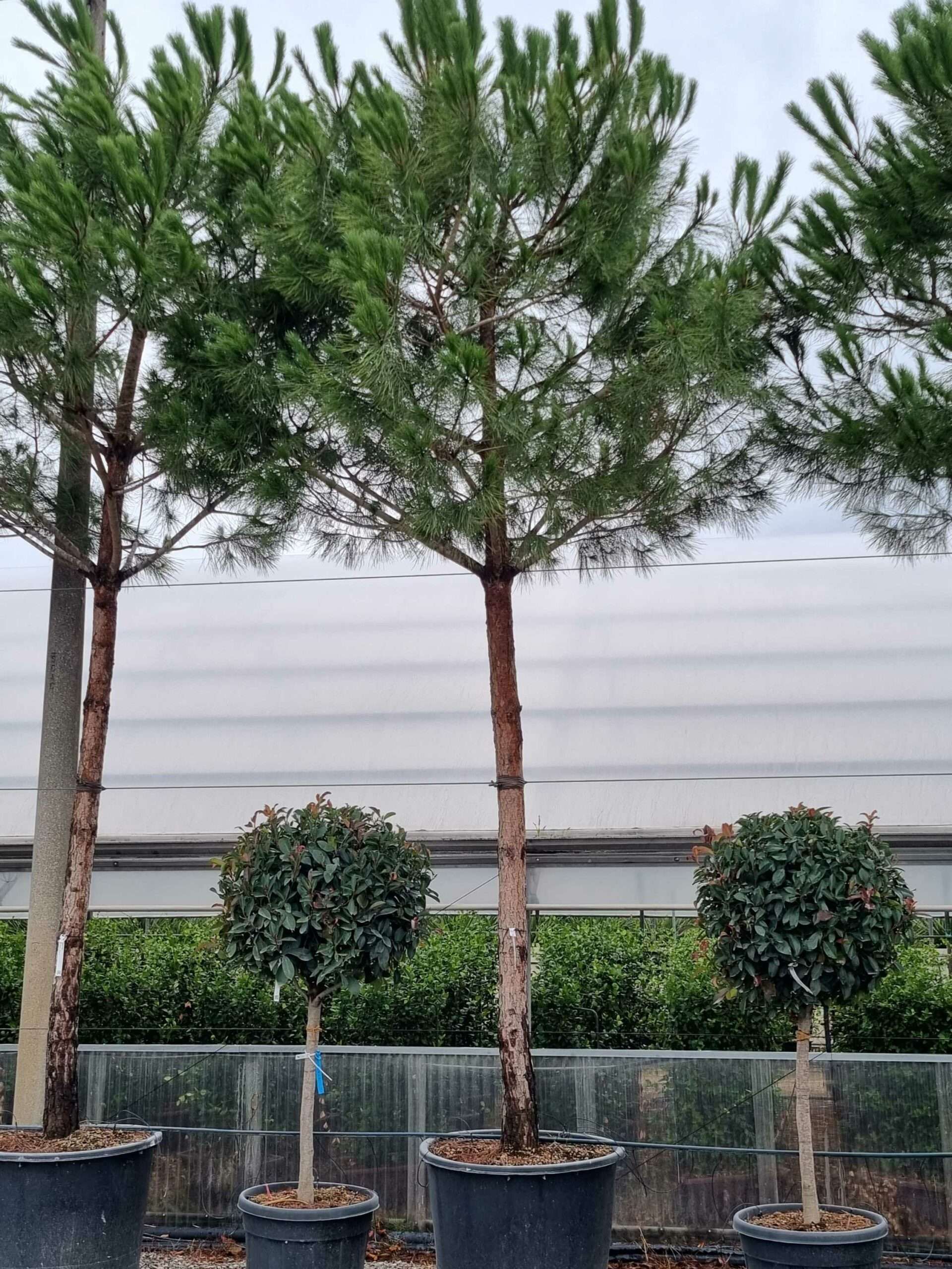 1664530886 scaled c664cb6c