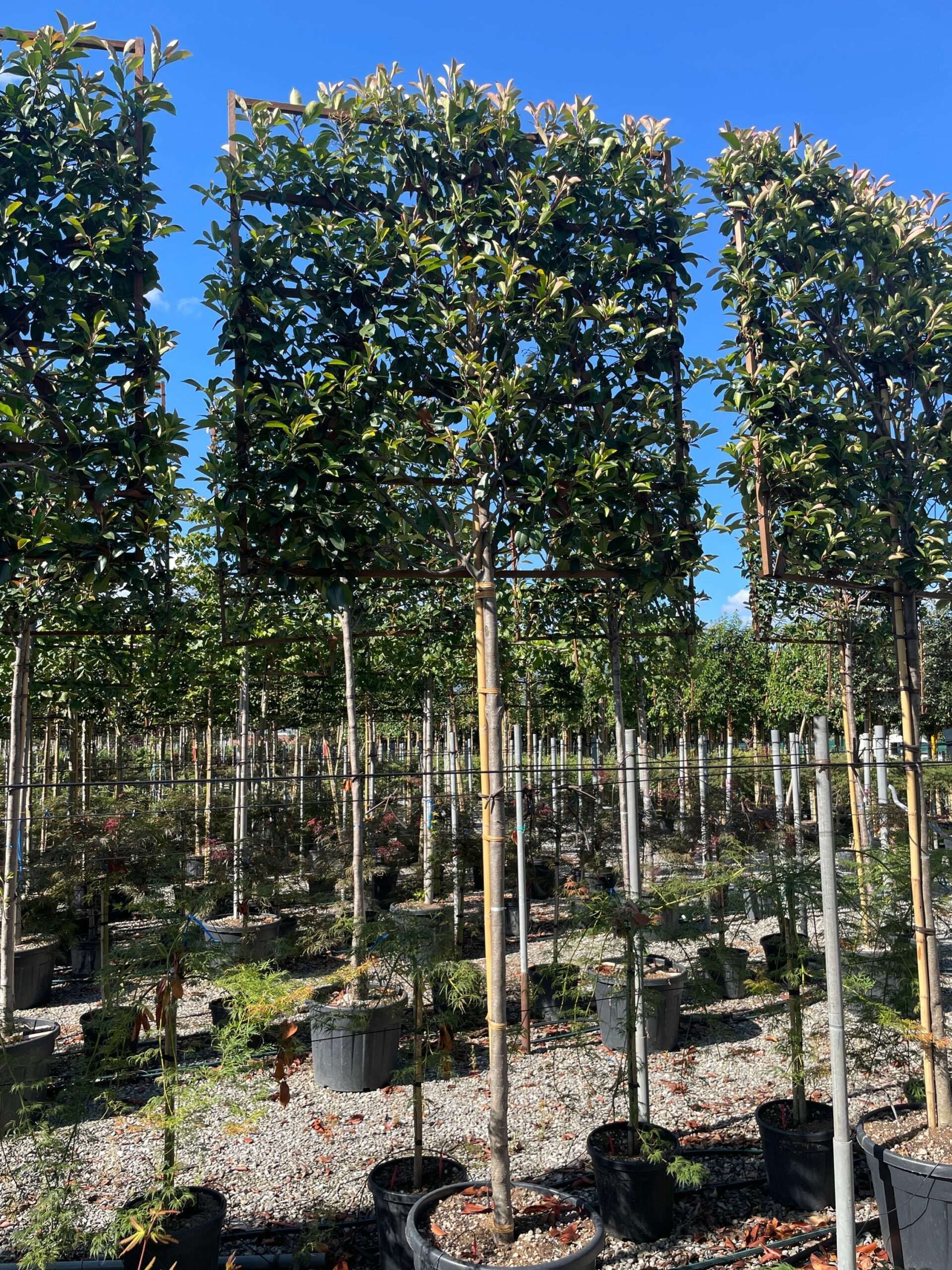 1690989097 scaled c6a88273