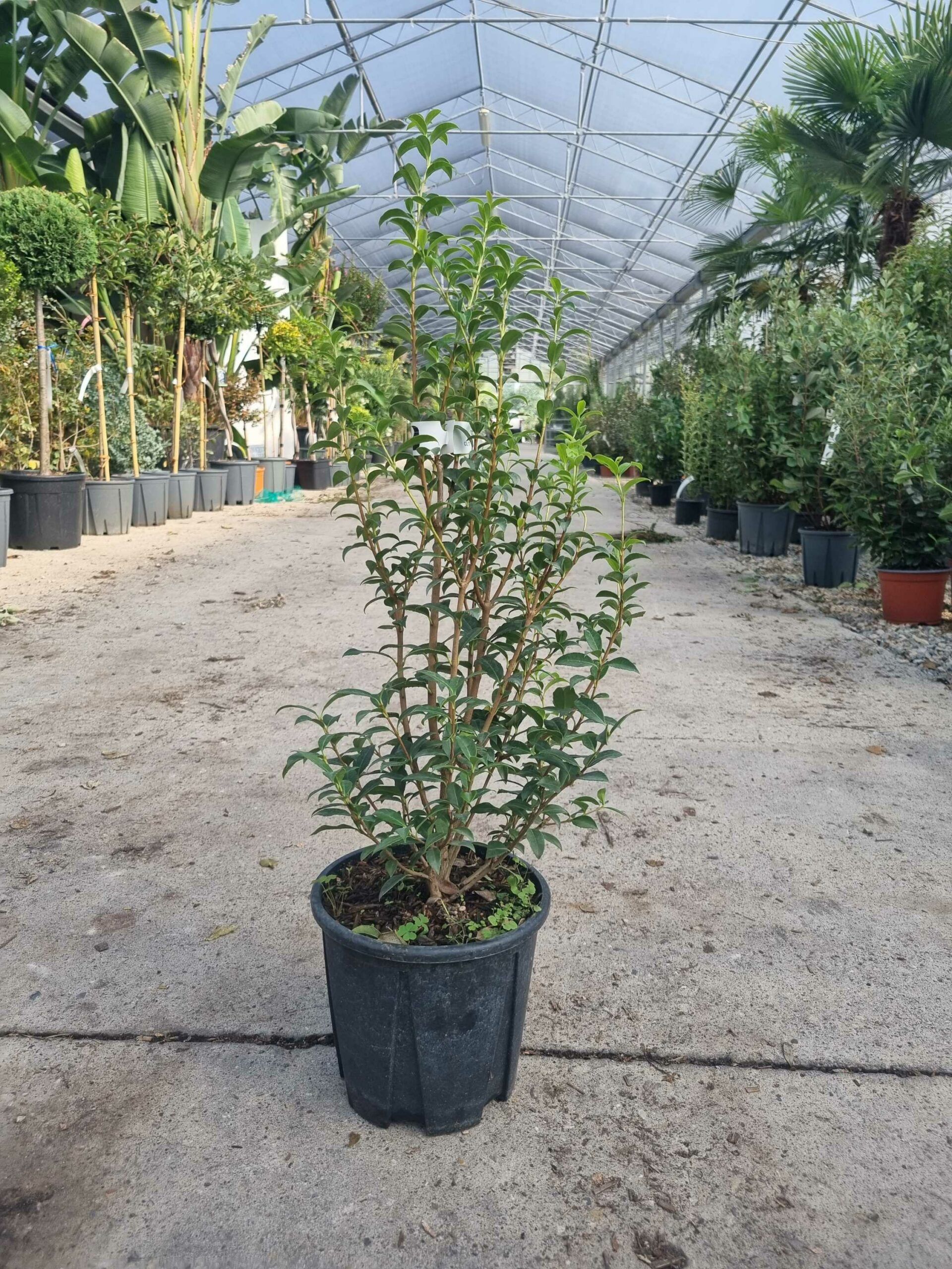 1694766075 scaled c6f07eeb