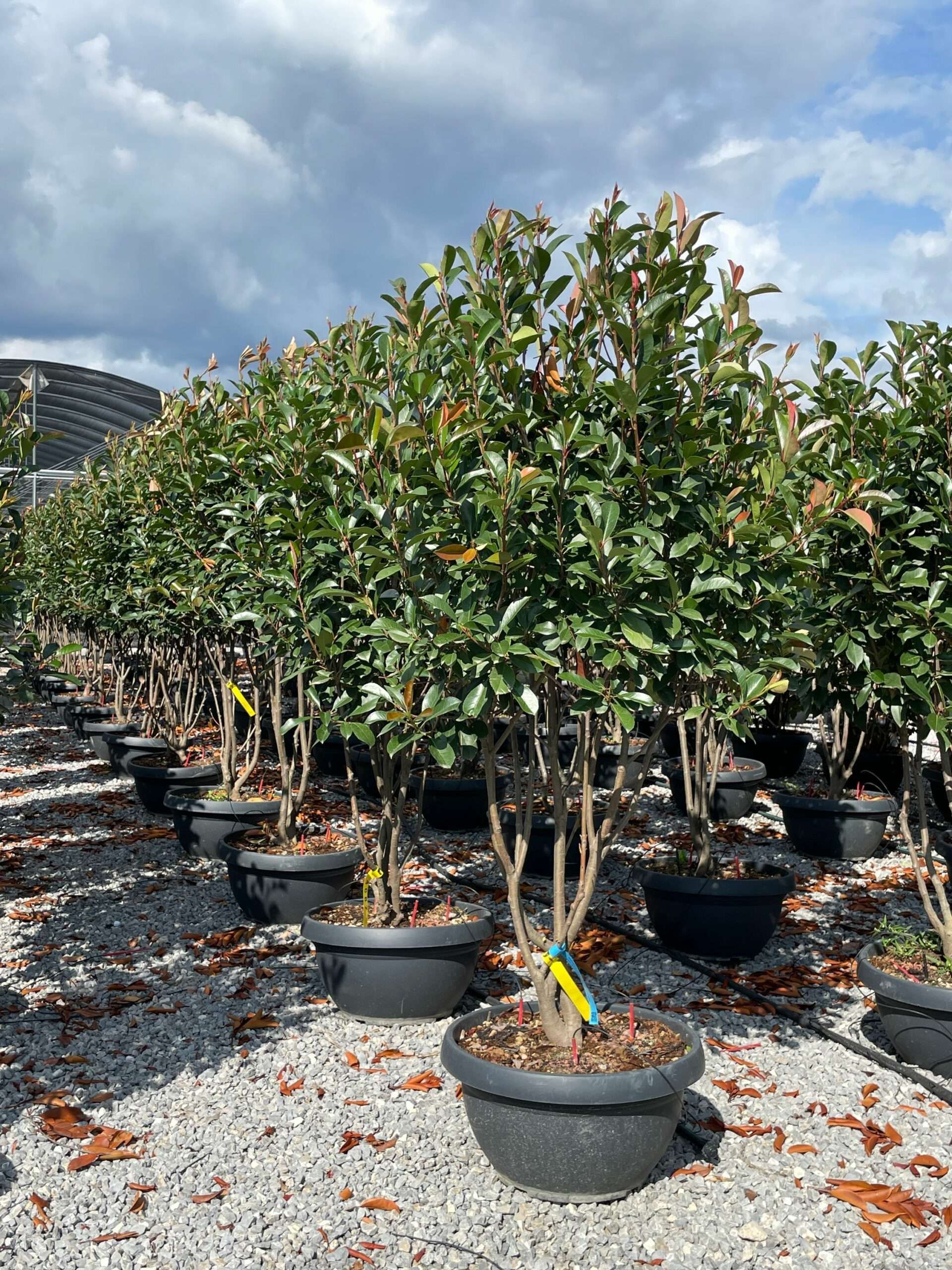 1631970690 scaled c790585d