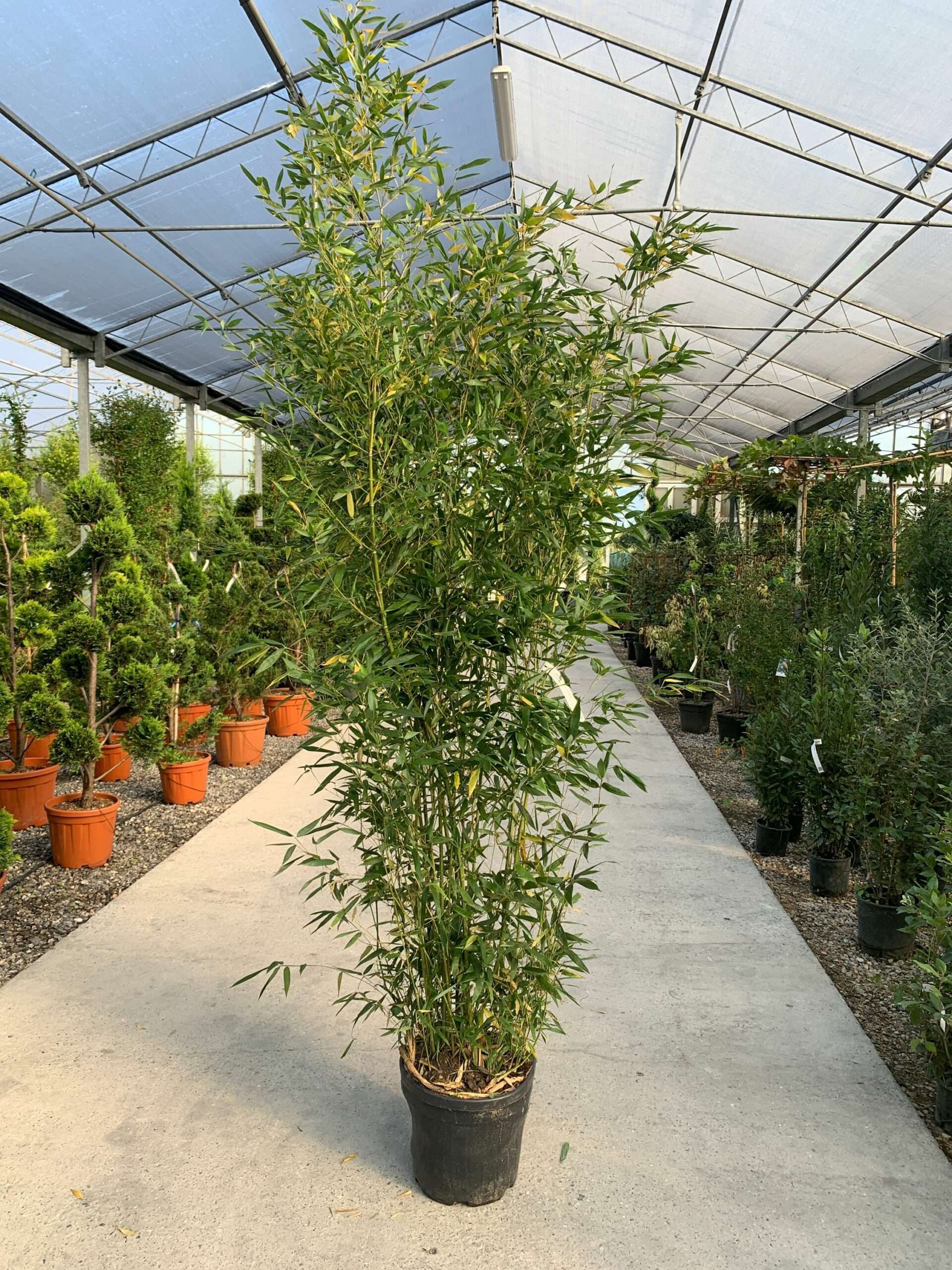 1634976435 scaled c7bf9ae7