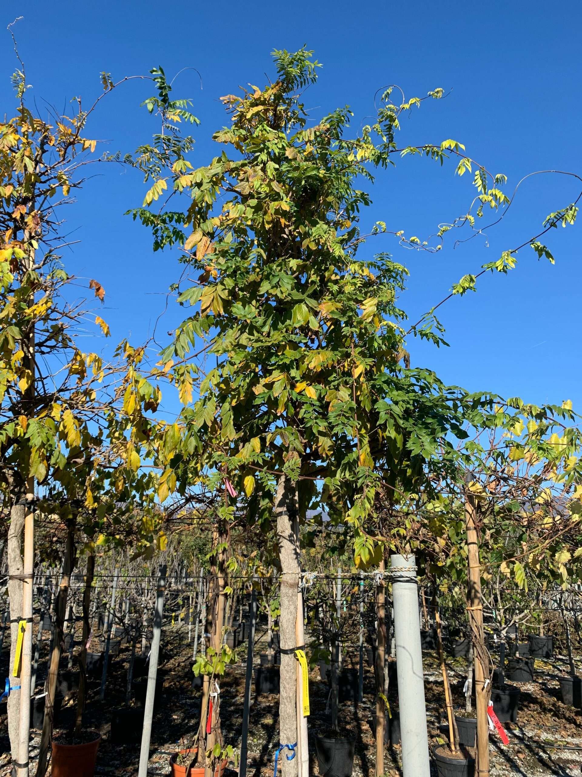 1637748183 scaled c7c8ea85