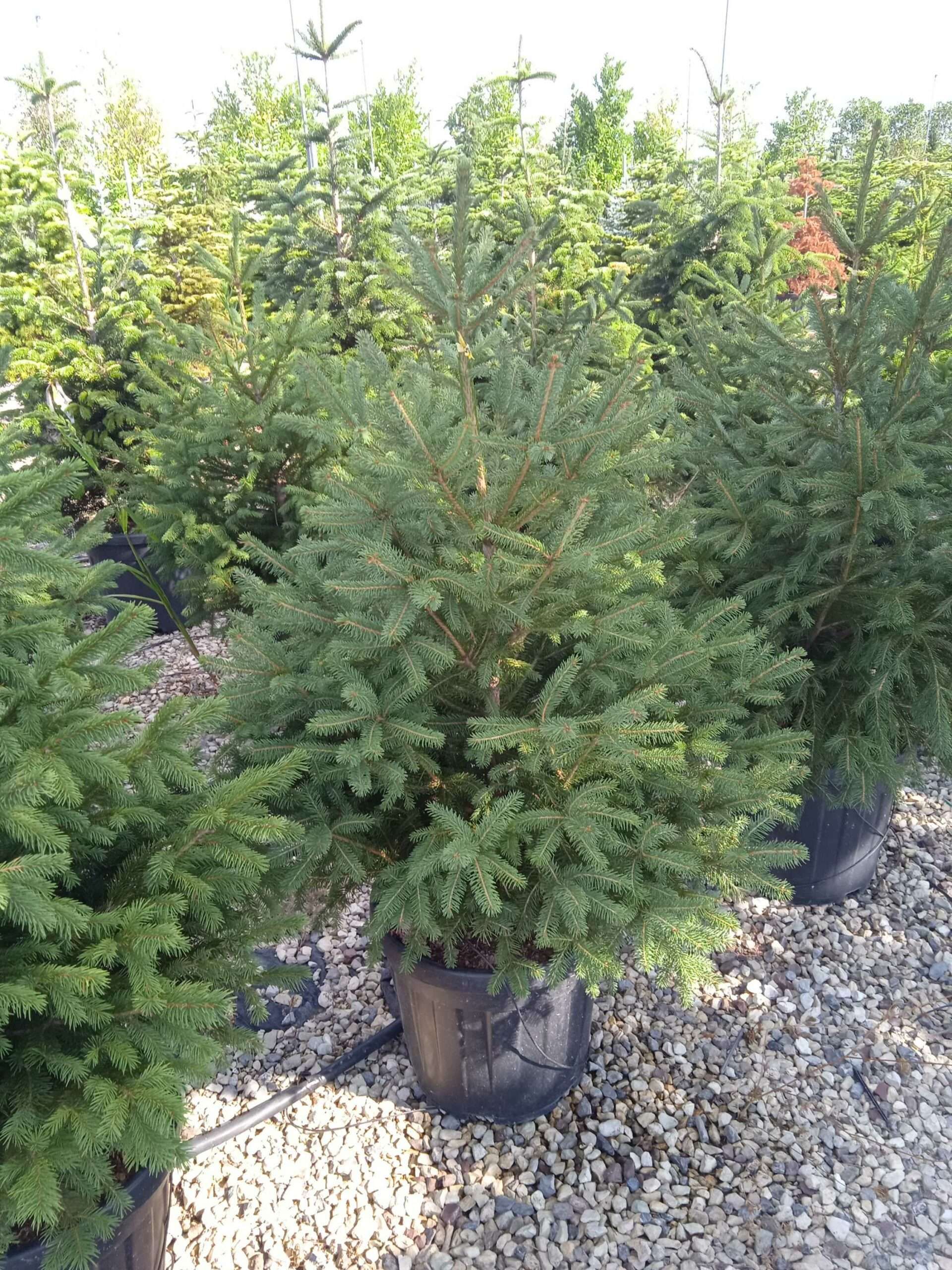 1662043198 scaled c73de6b9