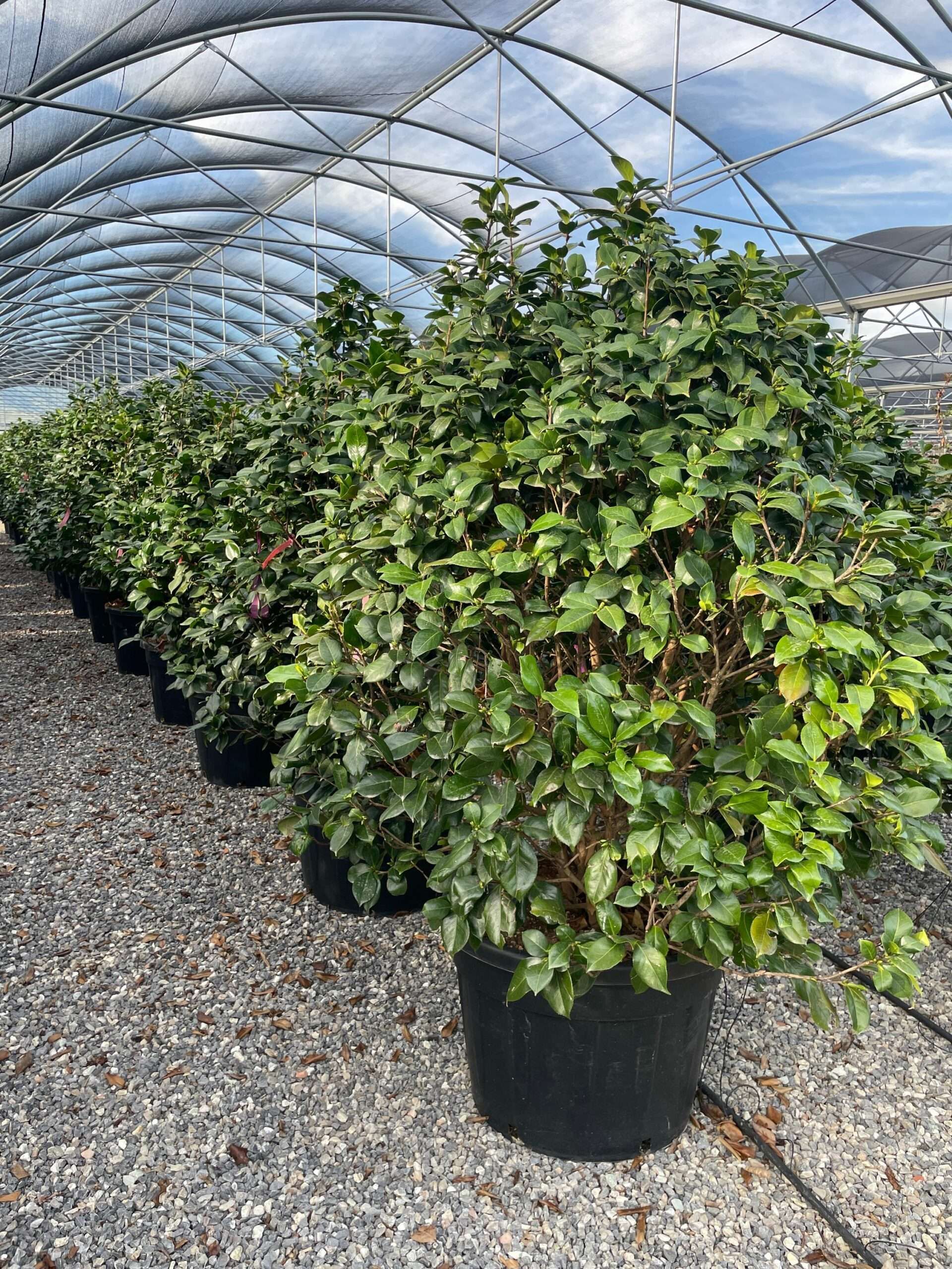 1691511653 scaled c7995b17