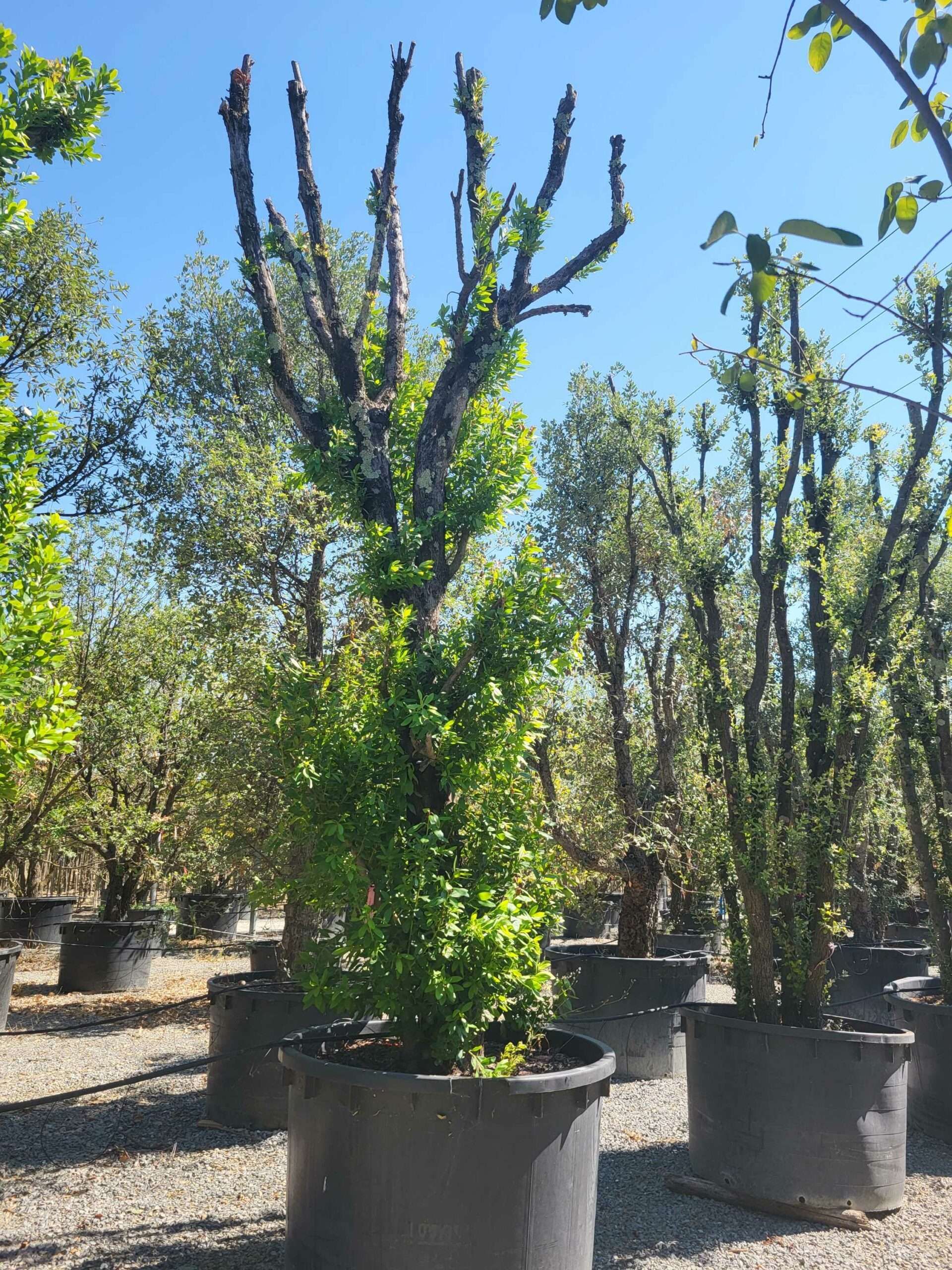 1692709131 scaled c7dd30b0