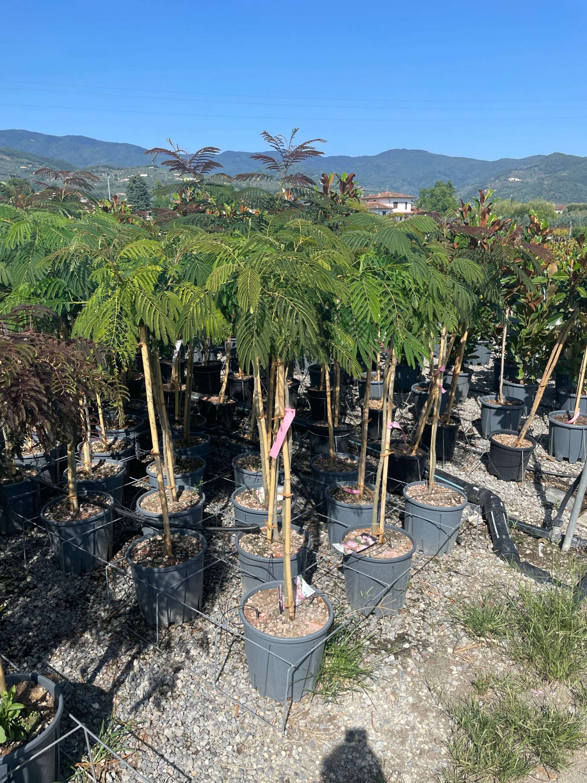 1692884705 scaled c7f68a6d