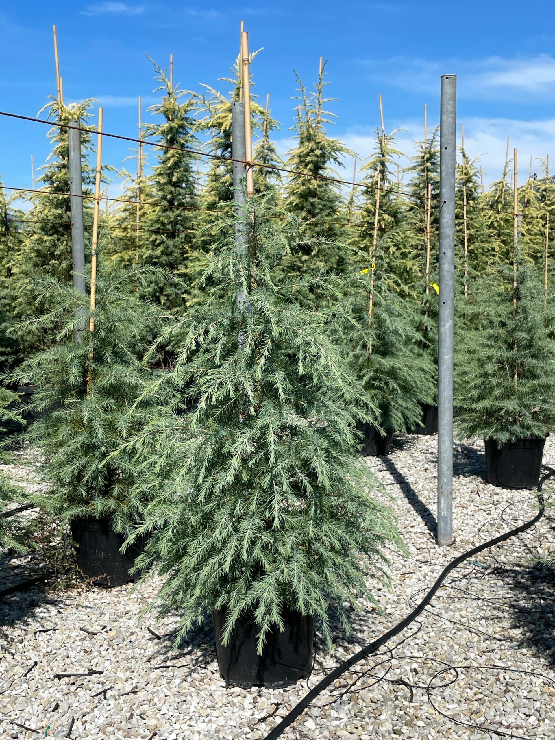 1632303651 scaled c8cf4625