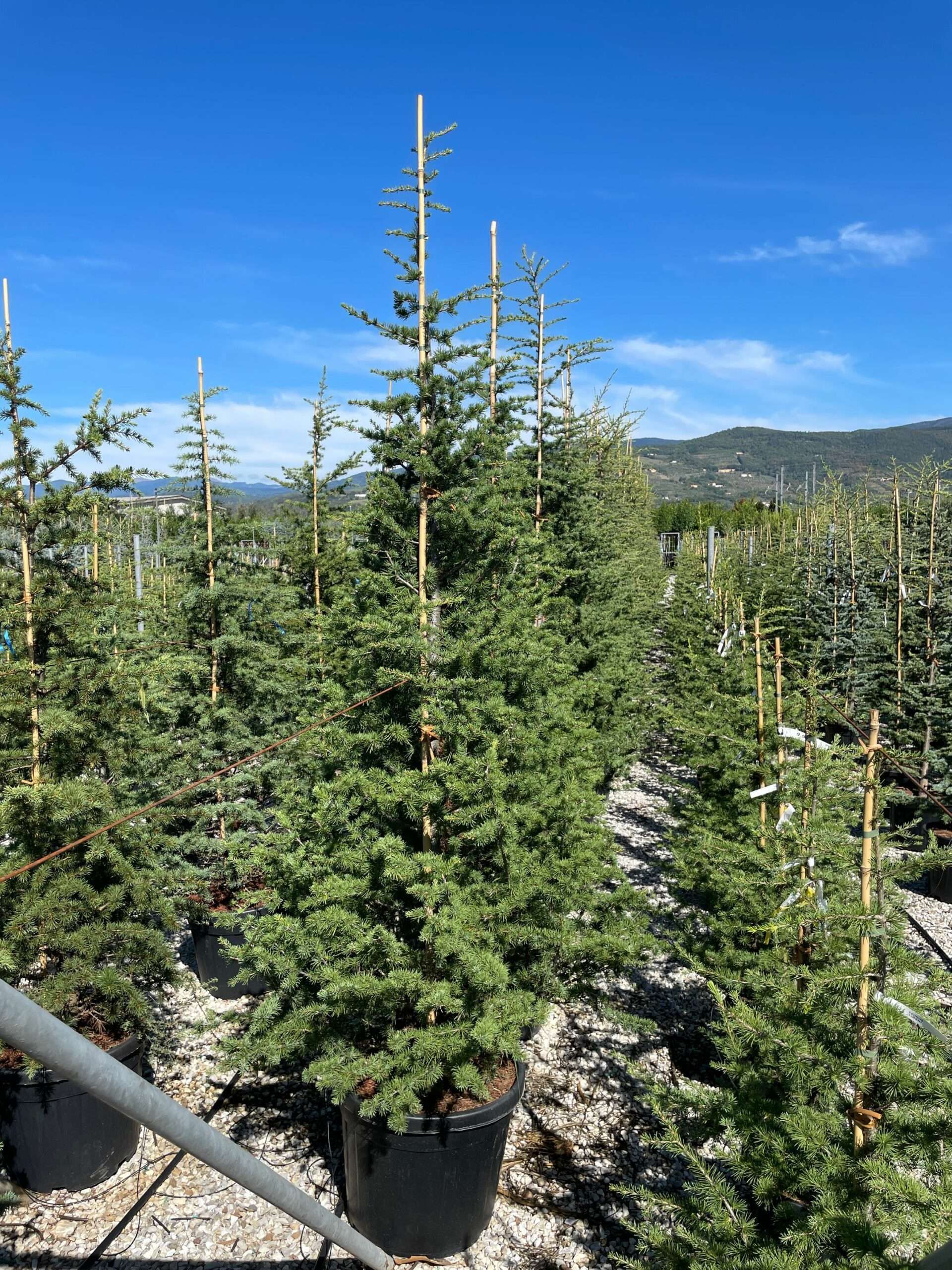 1632303737 scaled c86136a1