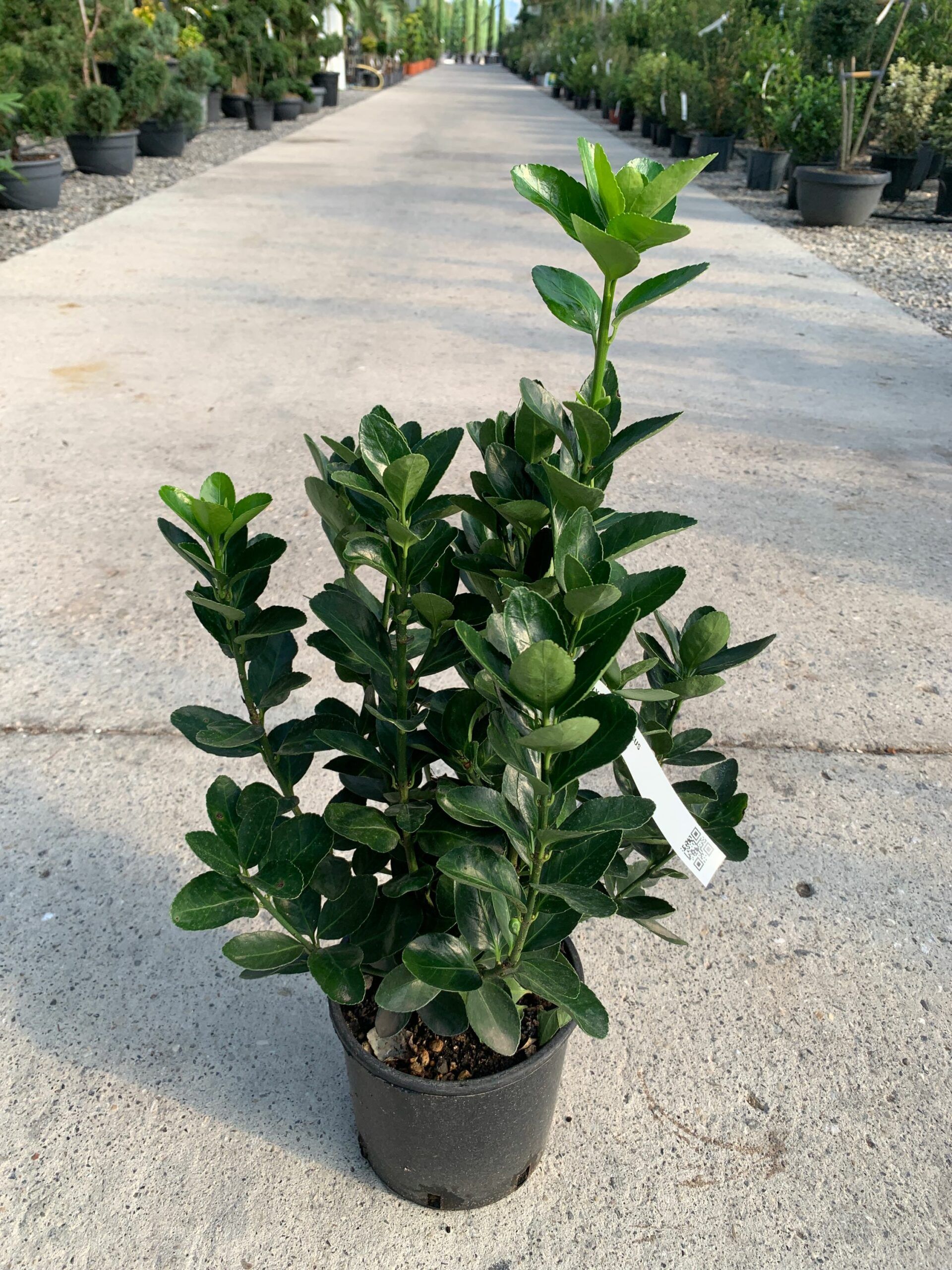 1632815335 scaled c8355ed7