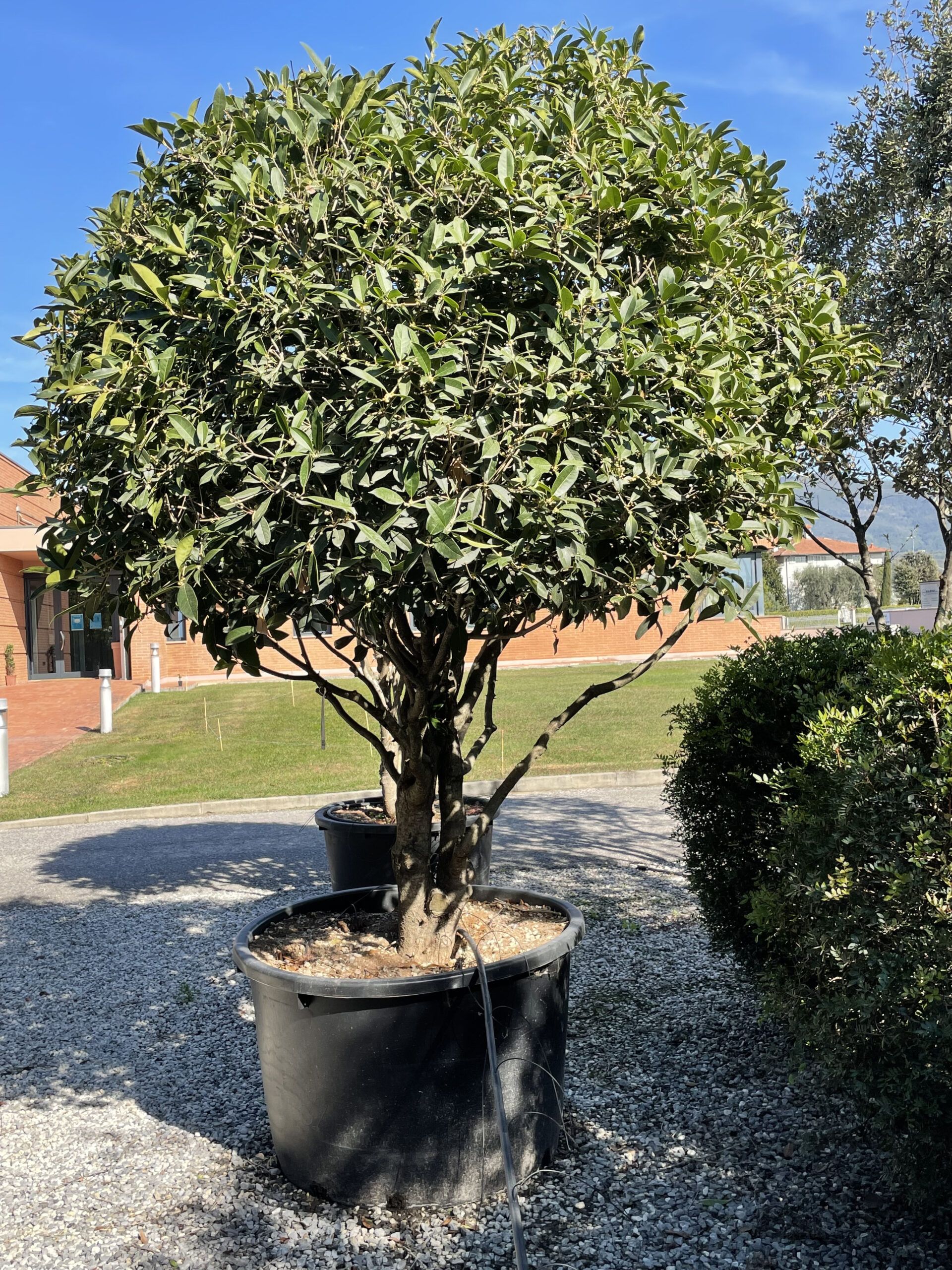 1634562240 scaled c8c3ca2b