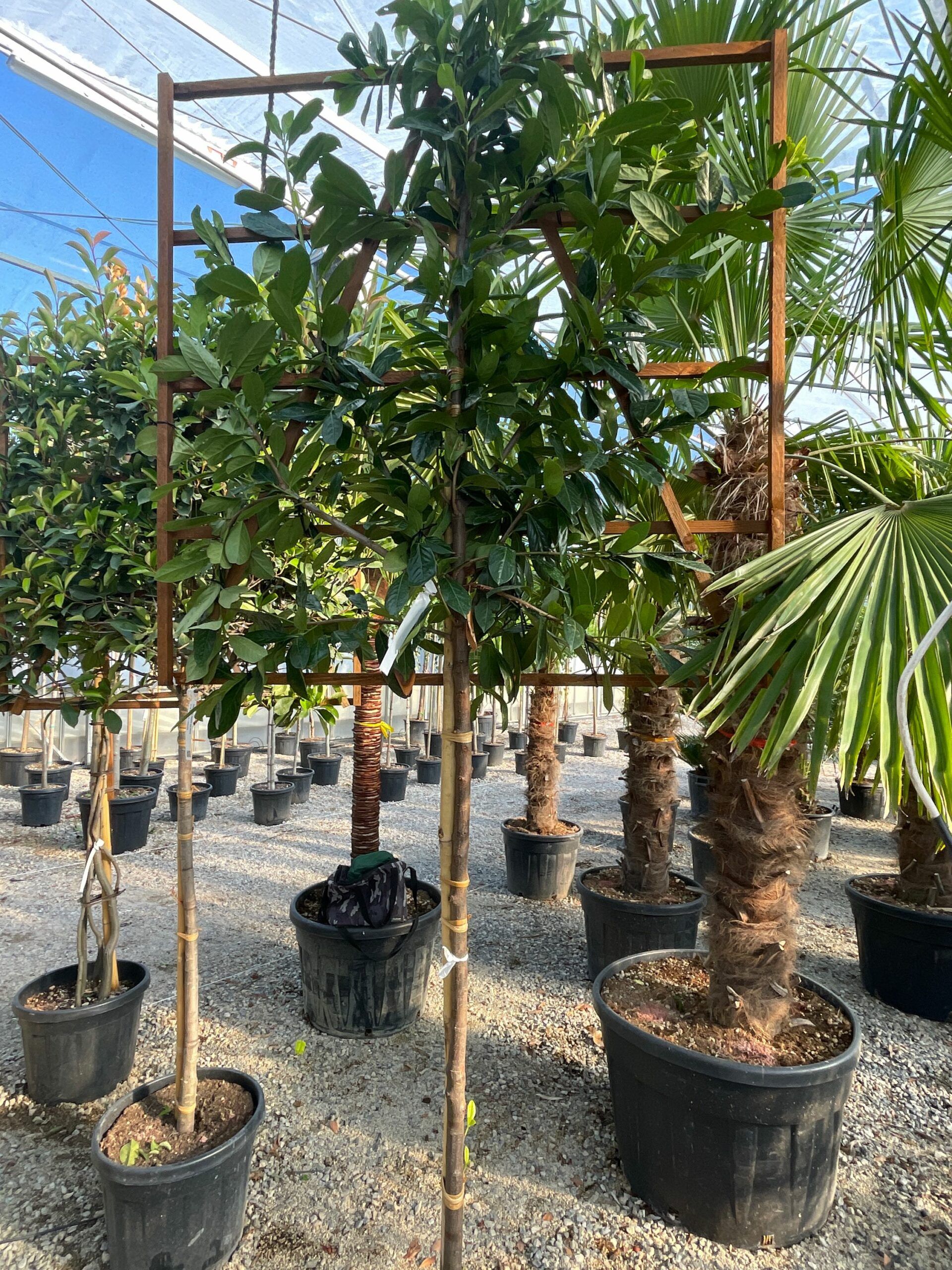 1661356232 scaled c8bdd844