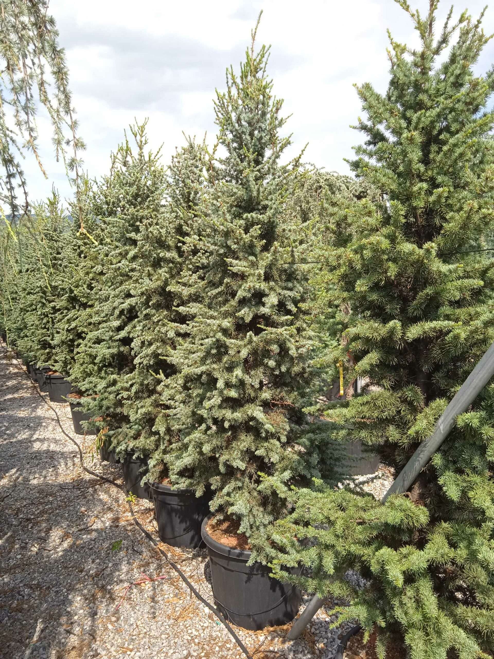 1662035592 scaled c8174d8b