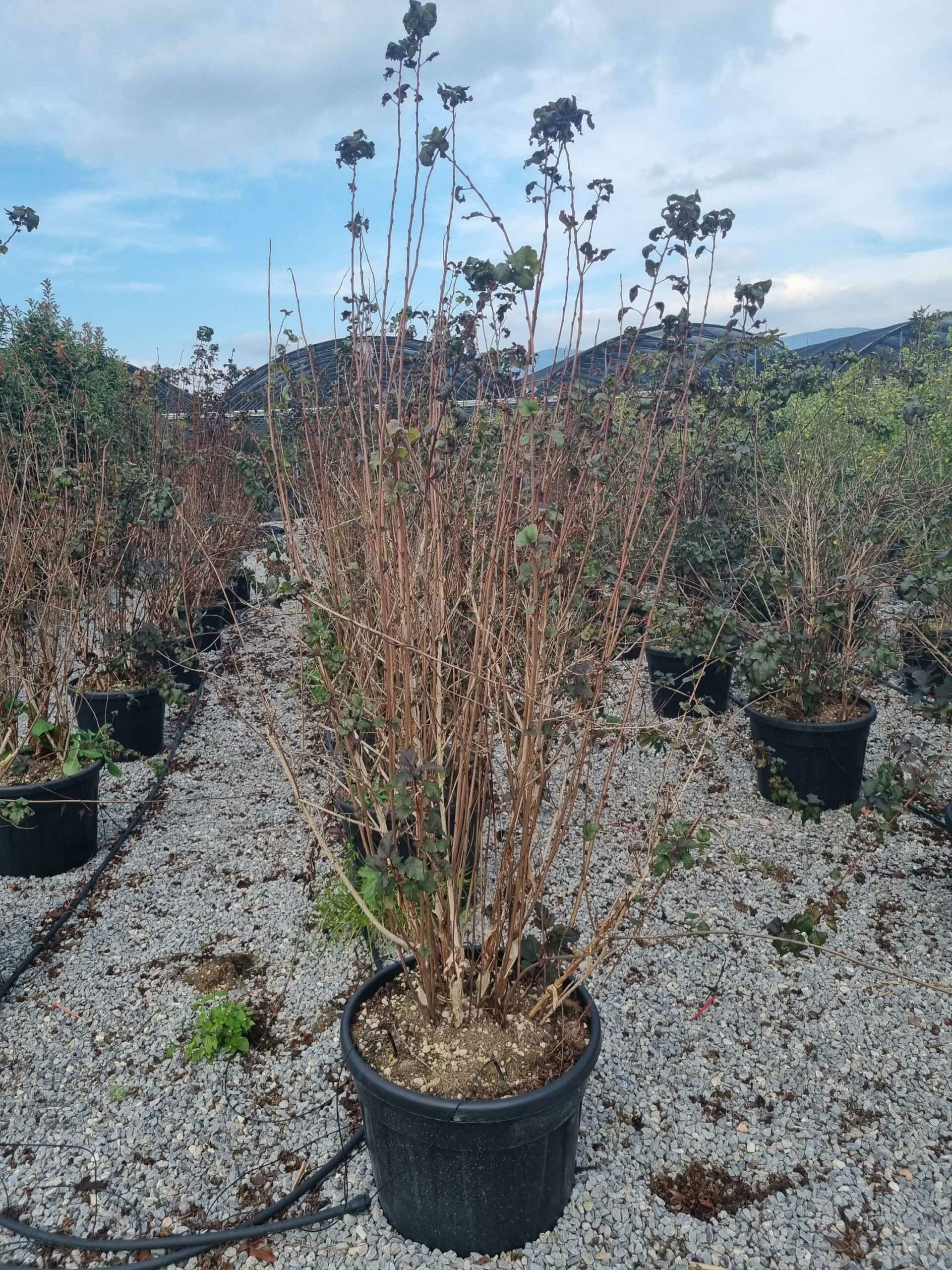 1665493749 scaled c8e78869