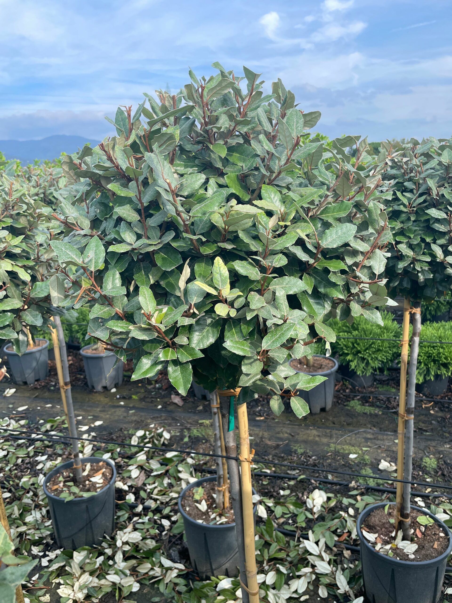 1665494259 scaled c84bfb70