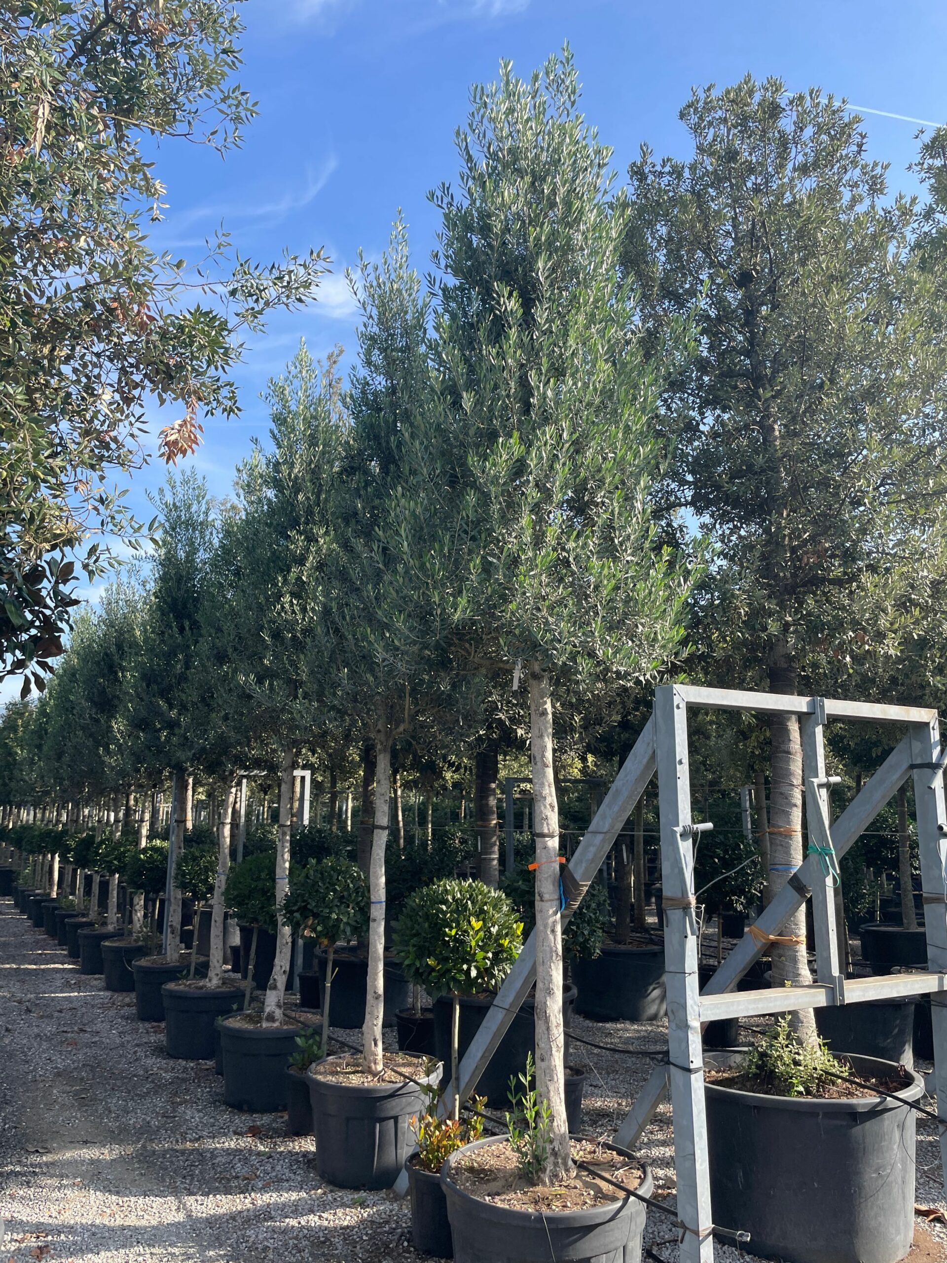 1666253547 scaled c827e3c0