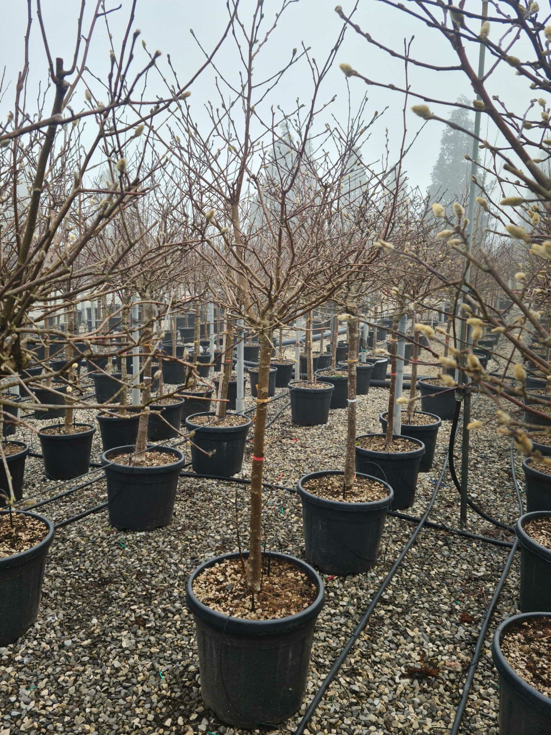 1676451012 scaled c85754de