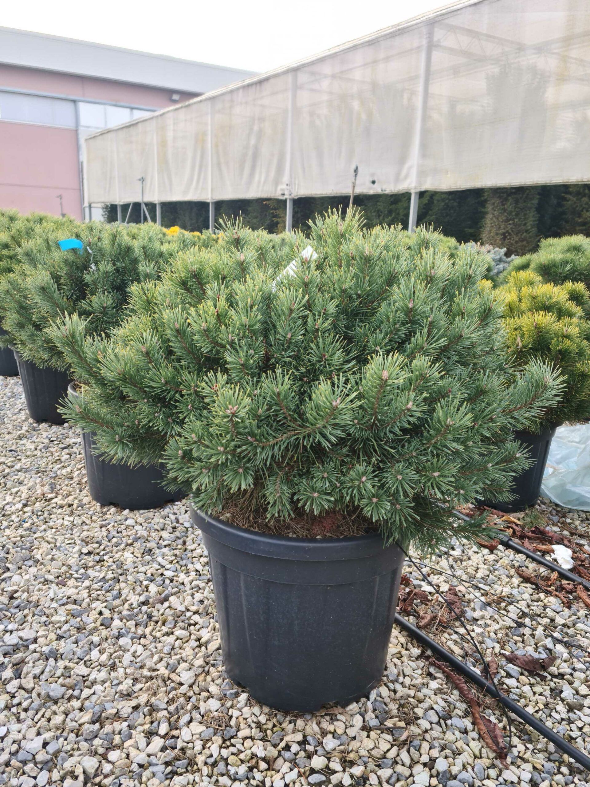 1676458980 scaled c8d4a690