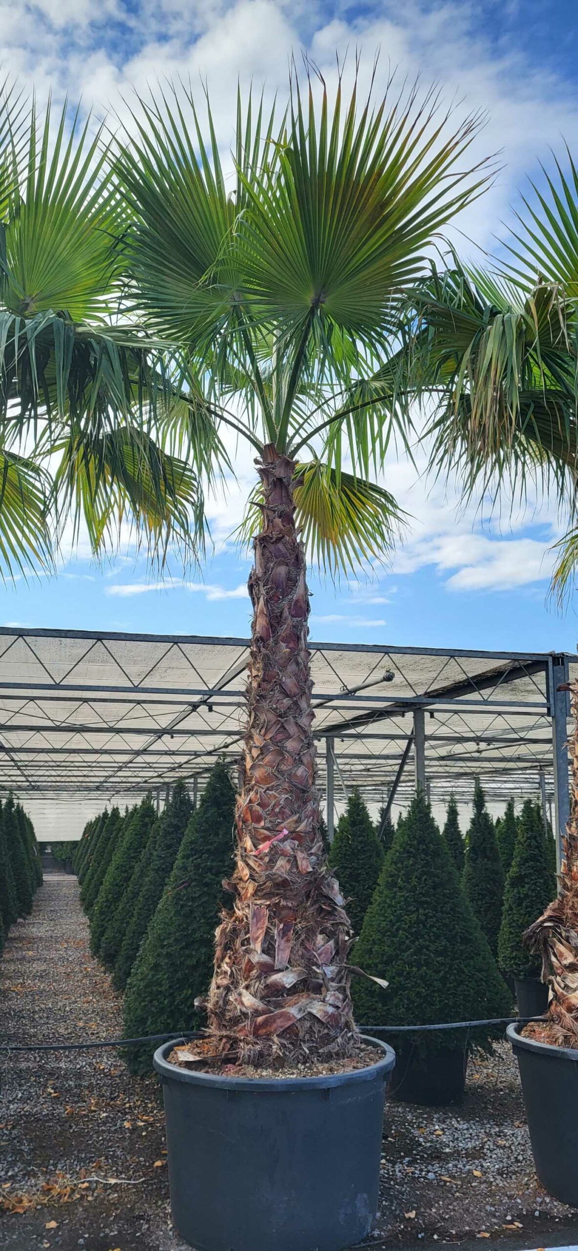 1694852636 scaled c81455c7