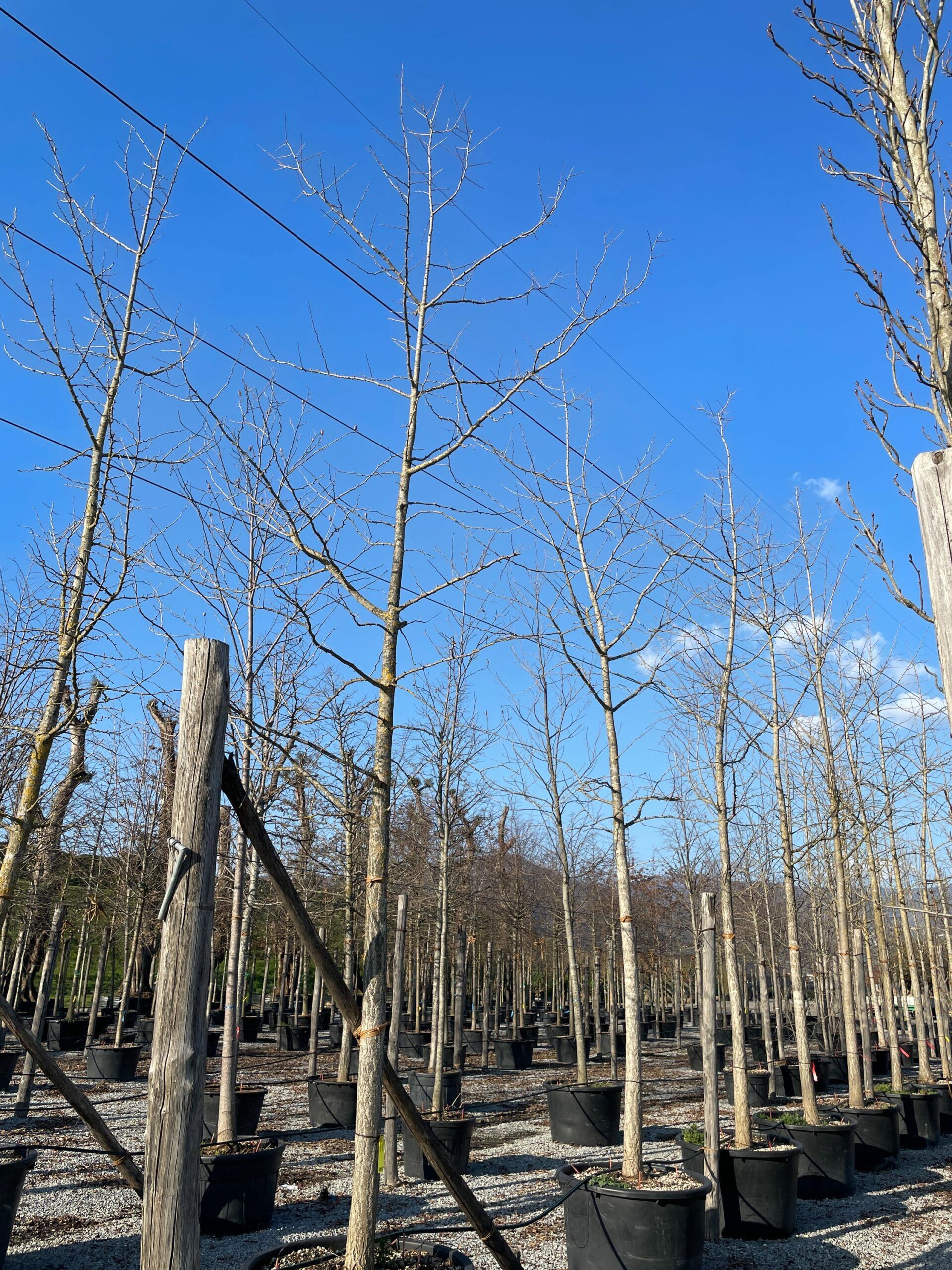 1644243005 scaled c98e44b3