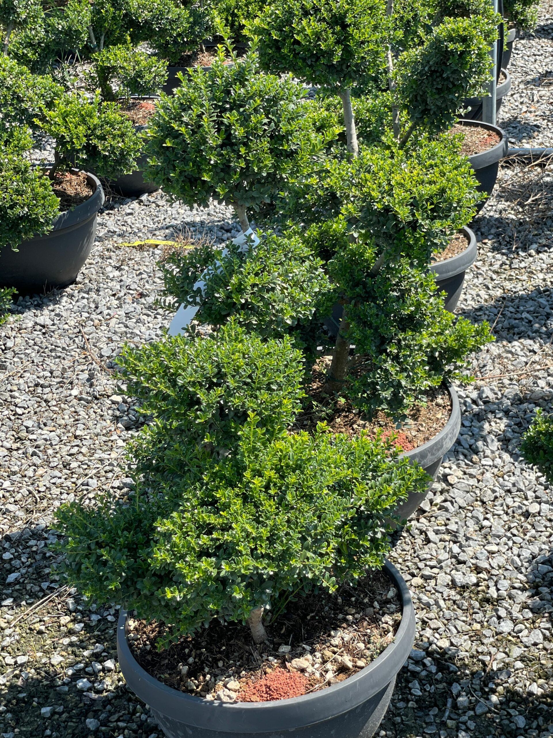 1661509338 scaled c94ce492