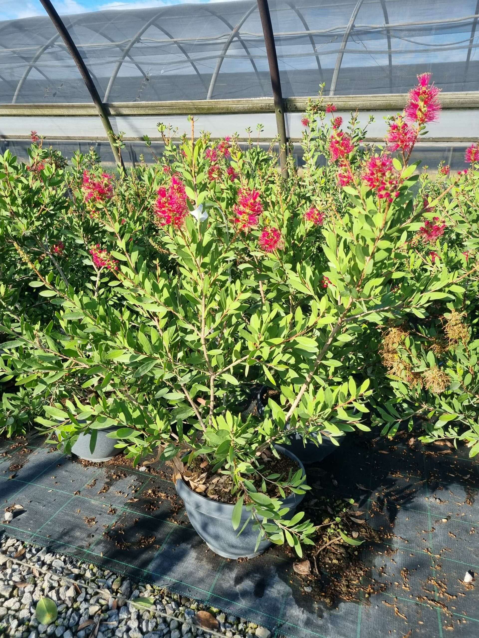 1663572405 scaled c9f56779