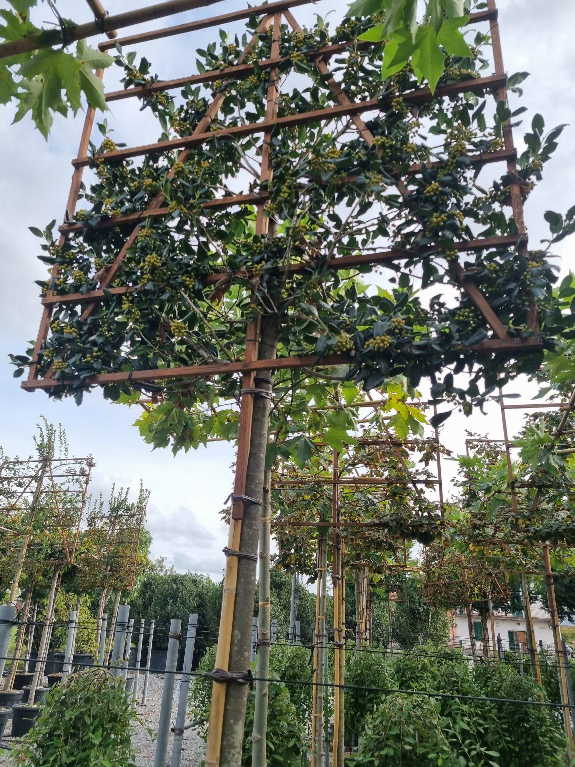 1664460861 scaled c939e359