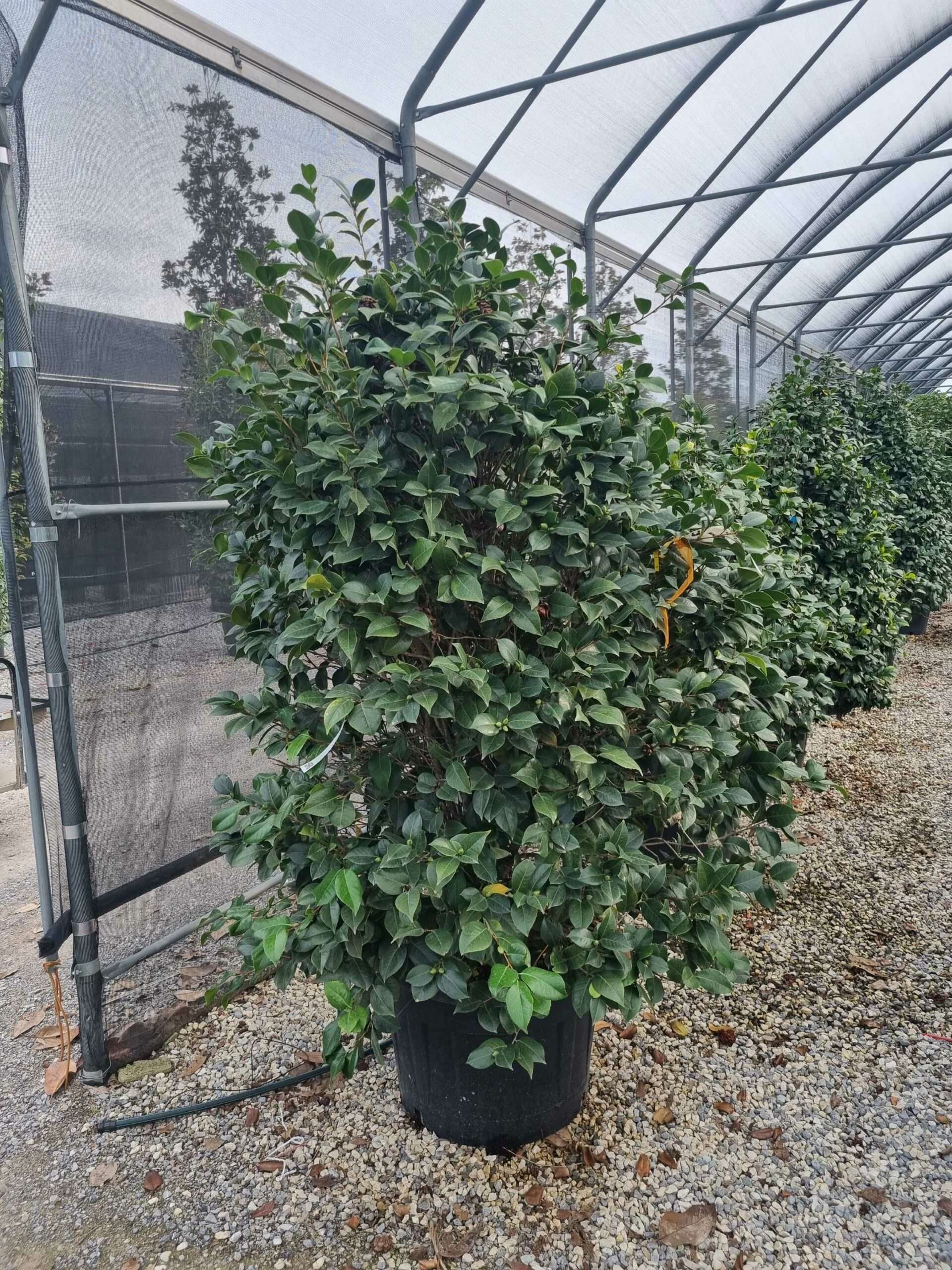 1665583993 scaled c90dfadd