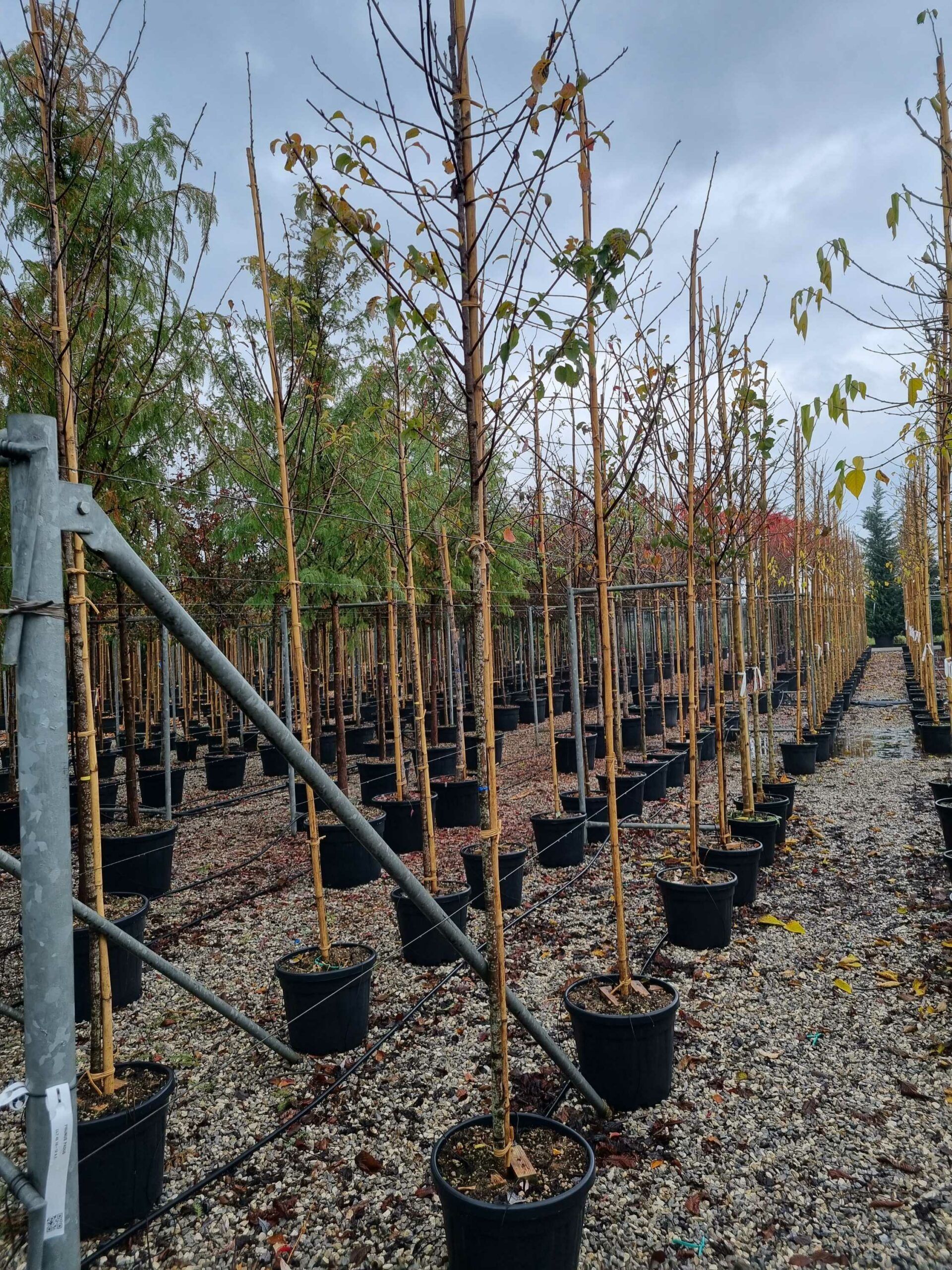 1668689826 scaled c9042c64