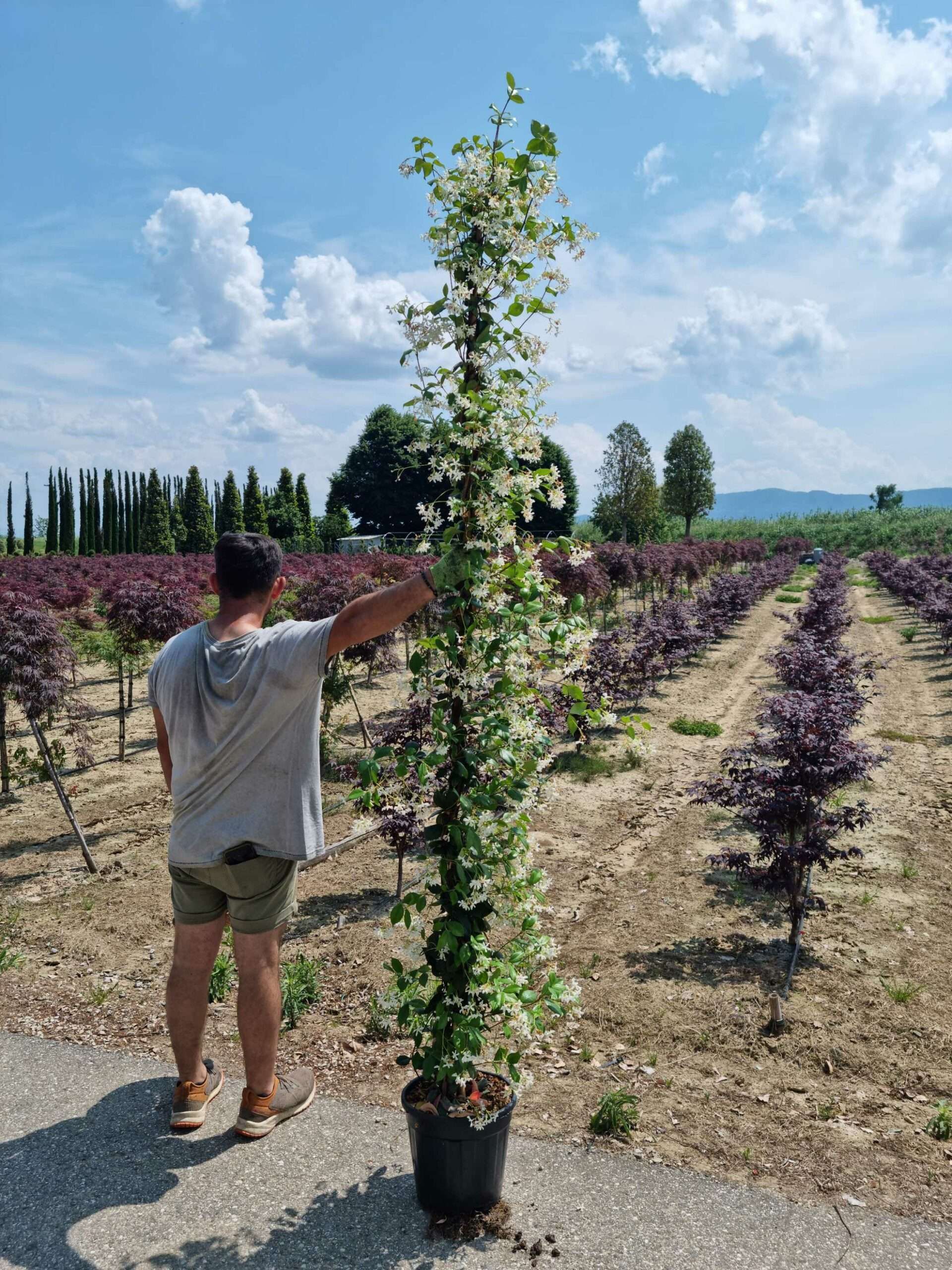 1685364900 scaled c9e52335