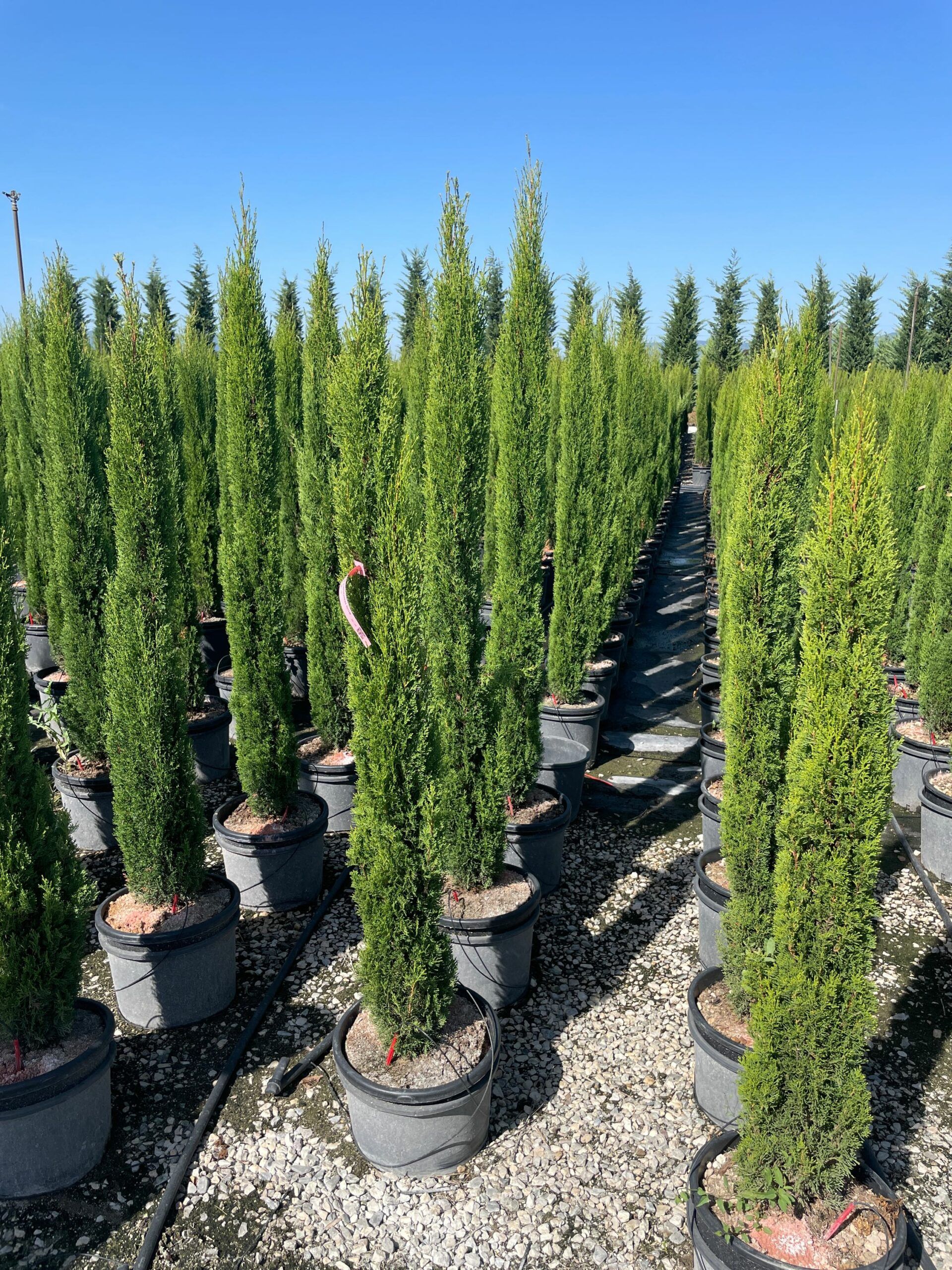 1692866982 scaled c9f32aed