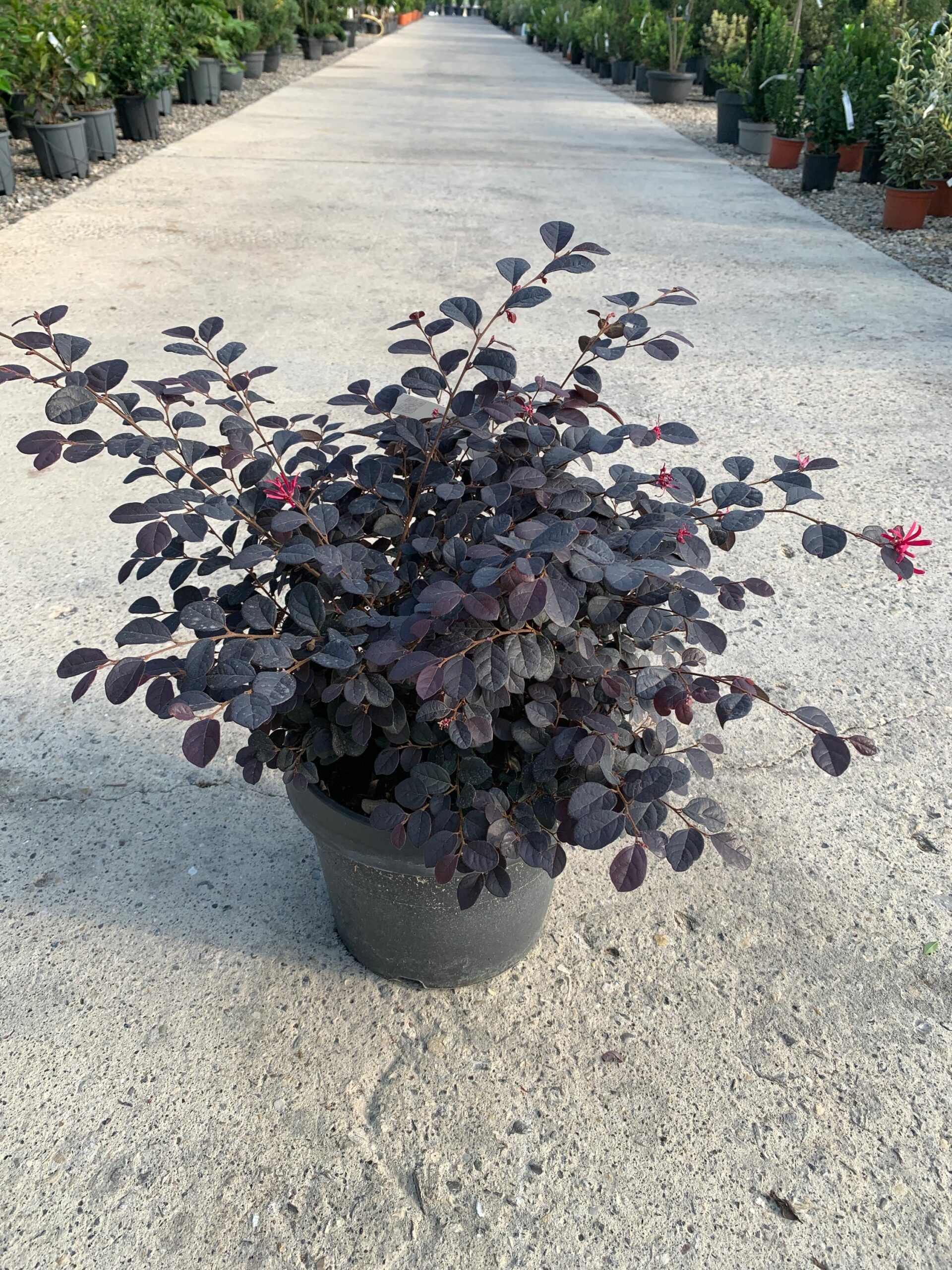 1632813377 scaled ca6a177e