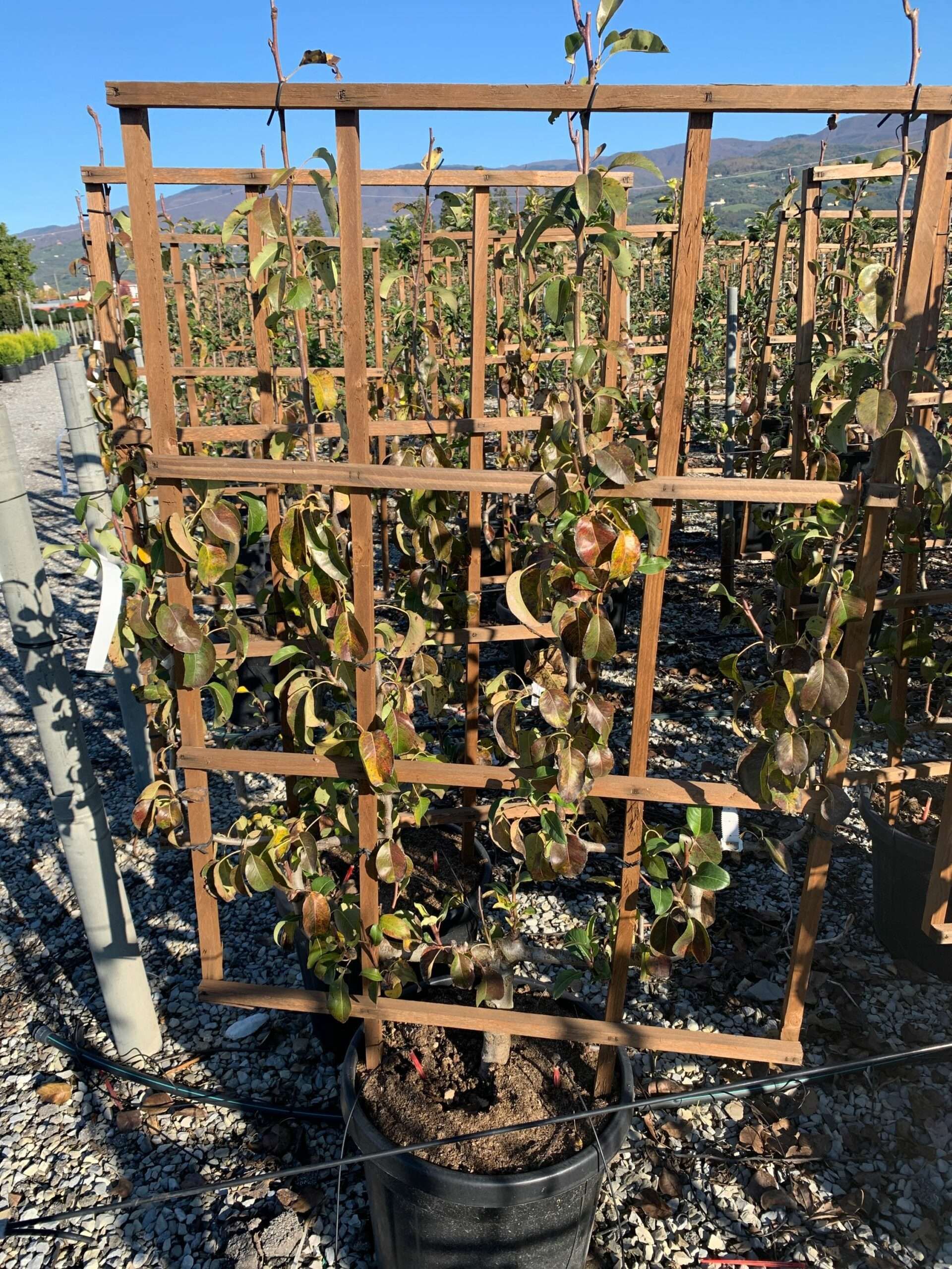 1637746216 scaled caddfccb